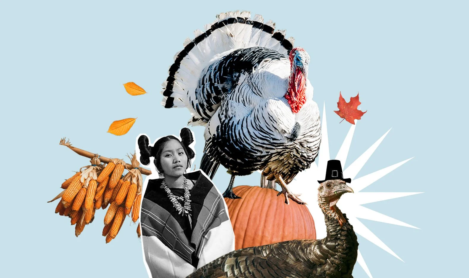 L’héritage visuel et symbolique de la dinde pour Thanksgiving