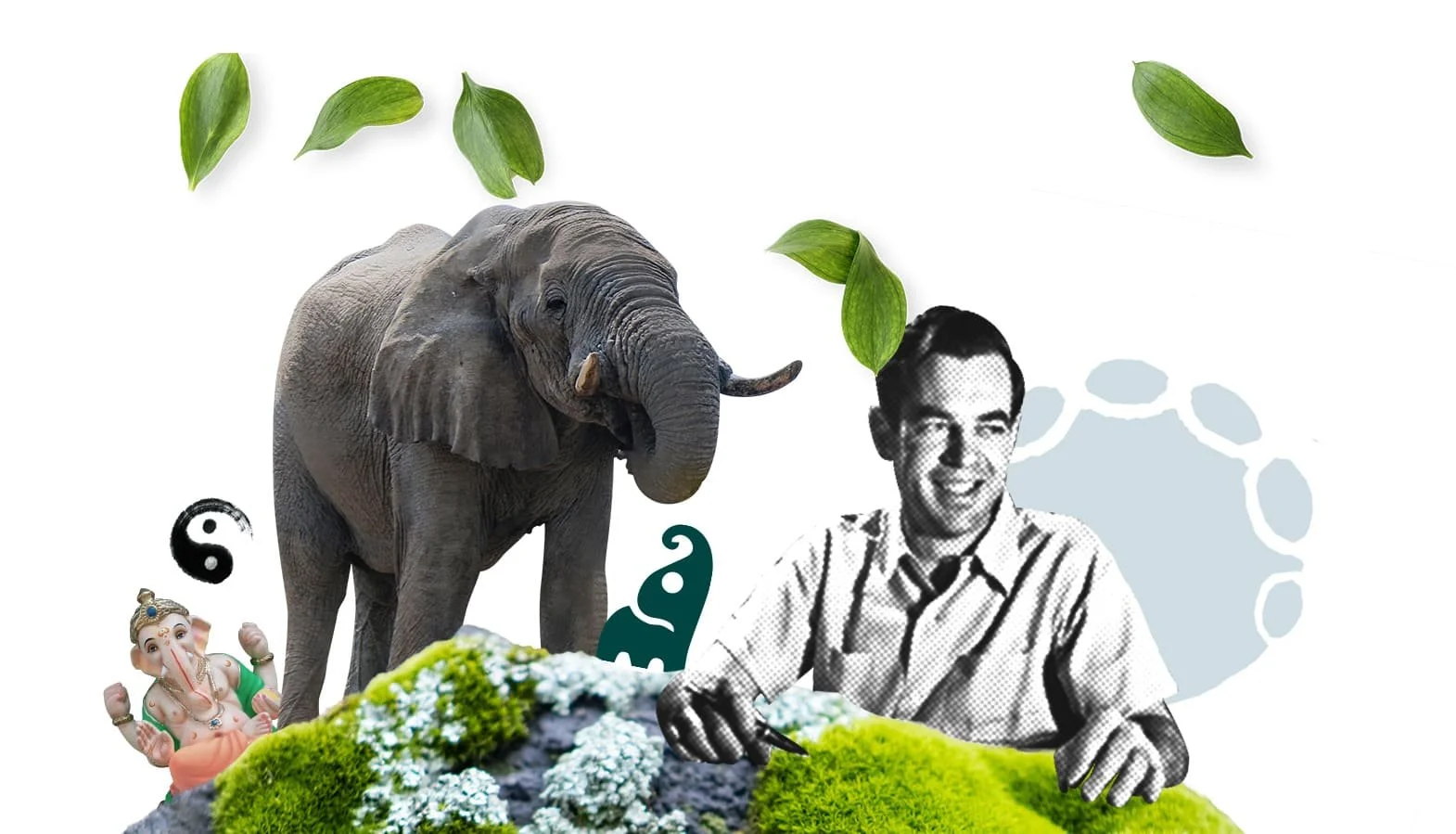 Joseph Campbell