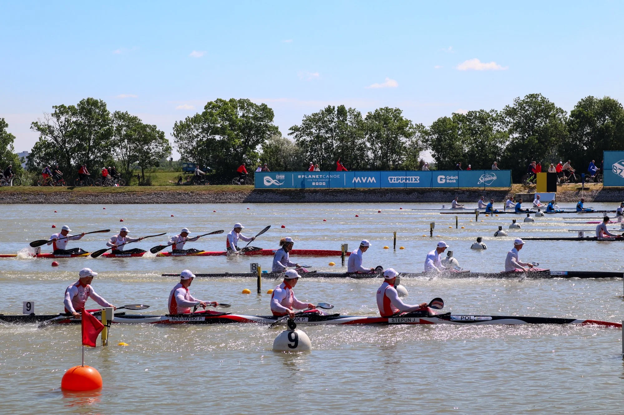 IMG_7379.JPG