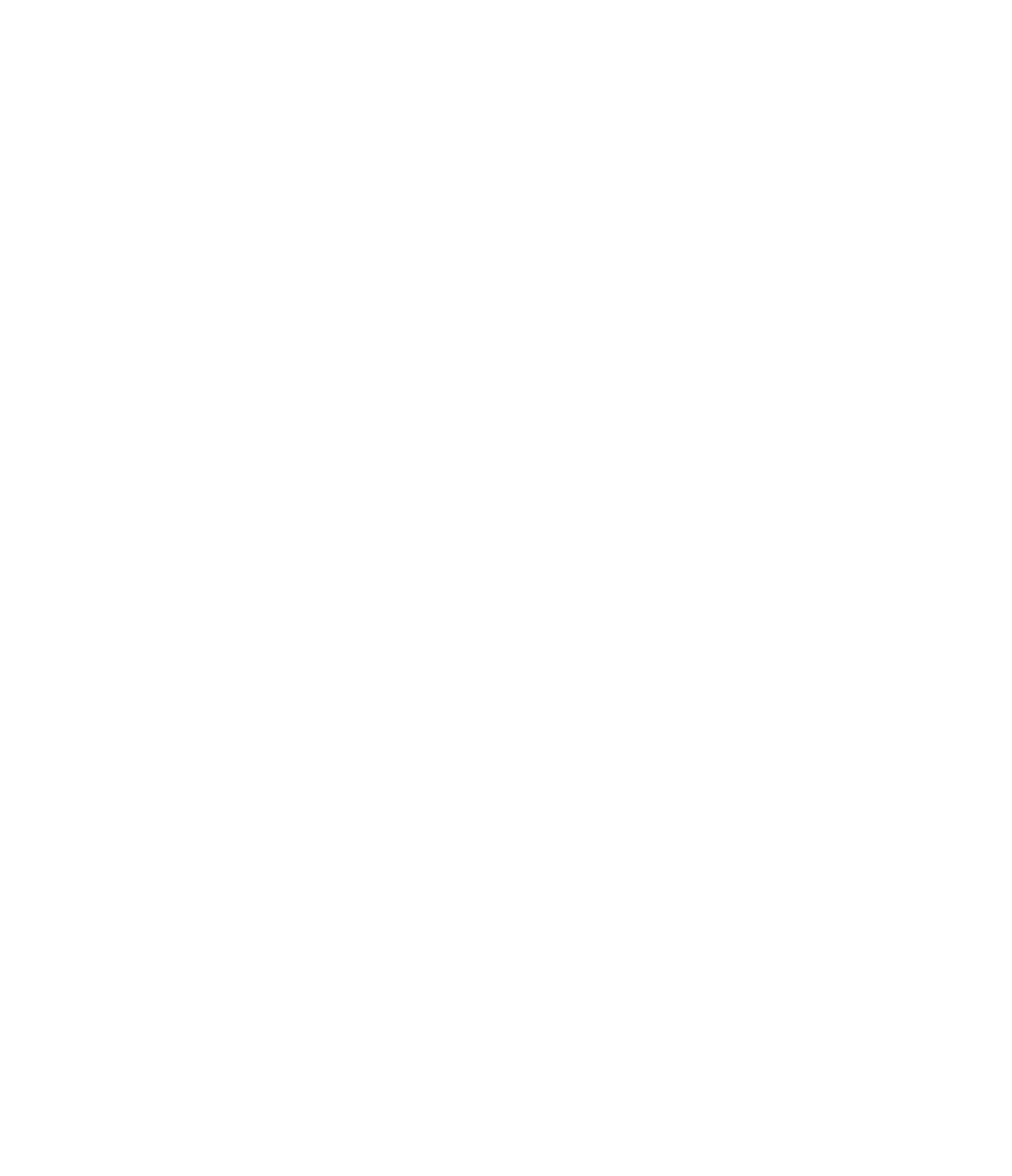 Group 13.png