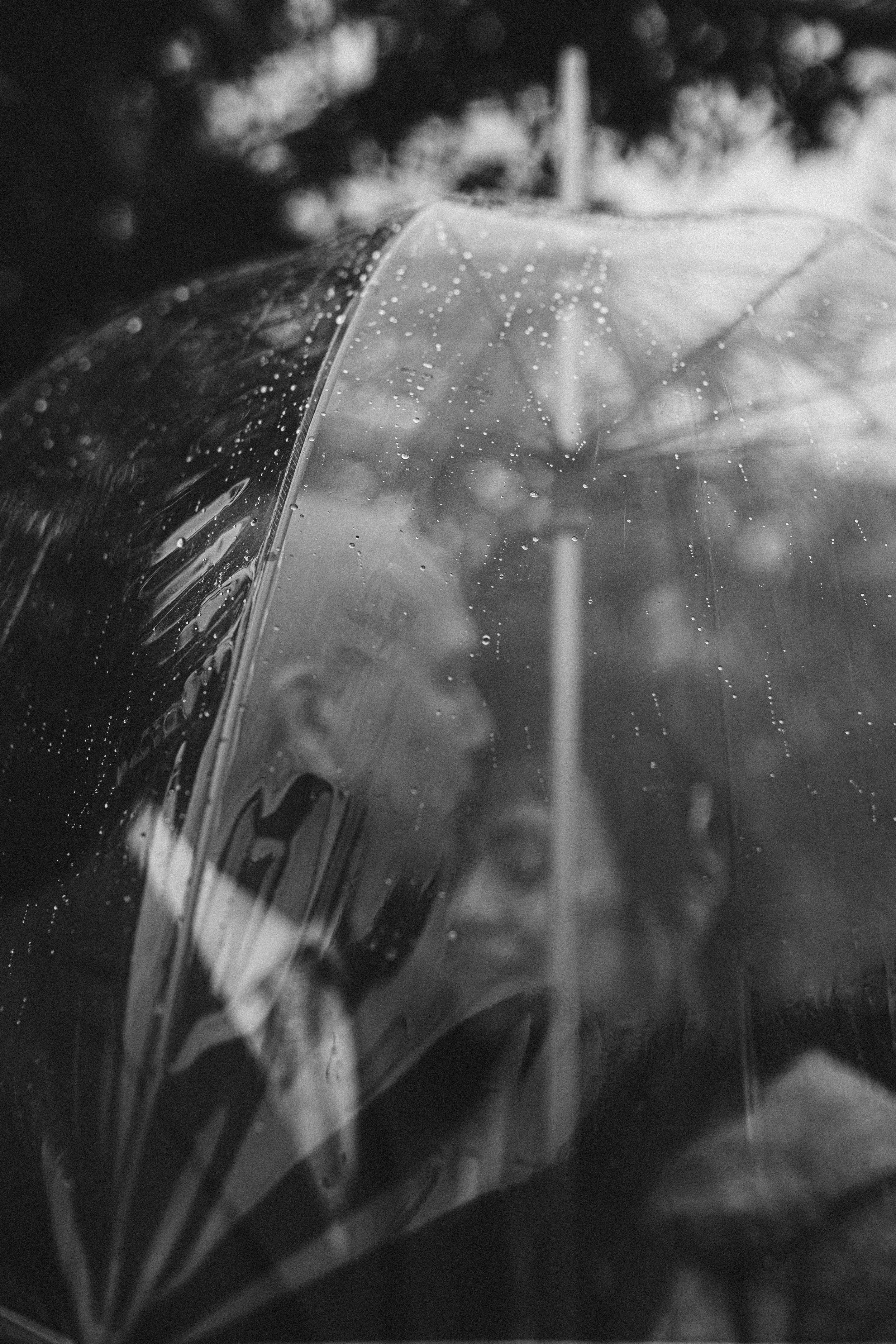 © Manda Specht Photography-47.jpg