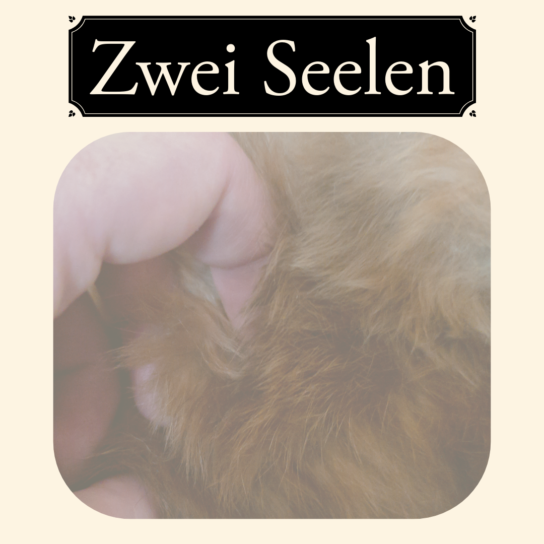 53 Zwei Seelen