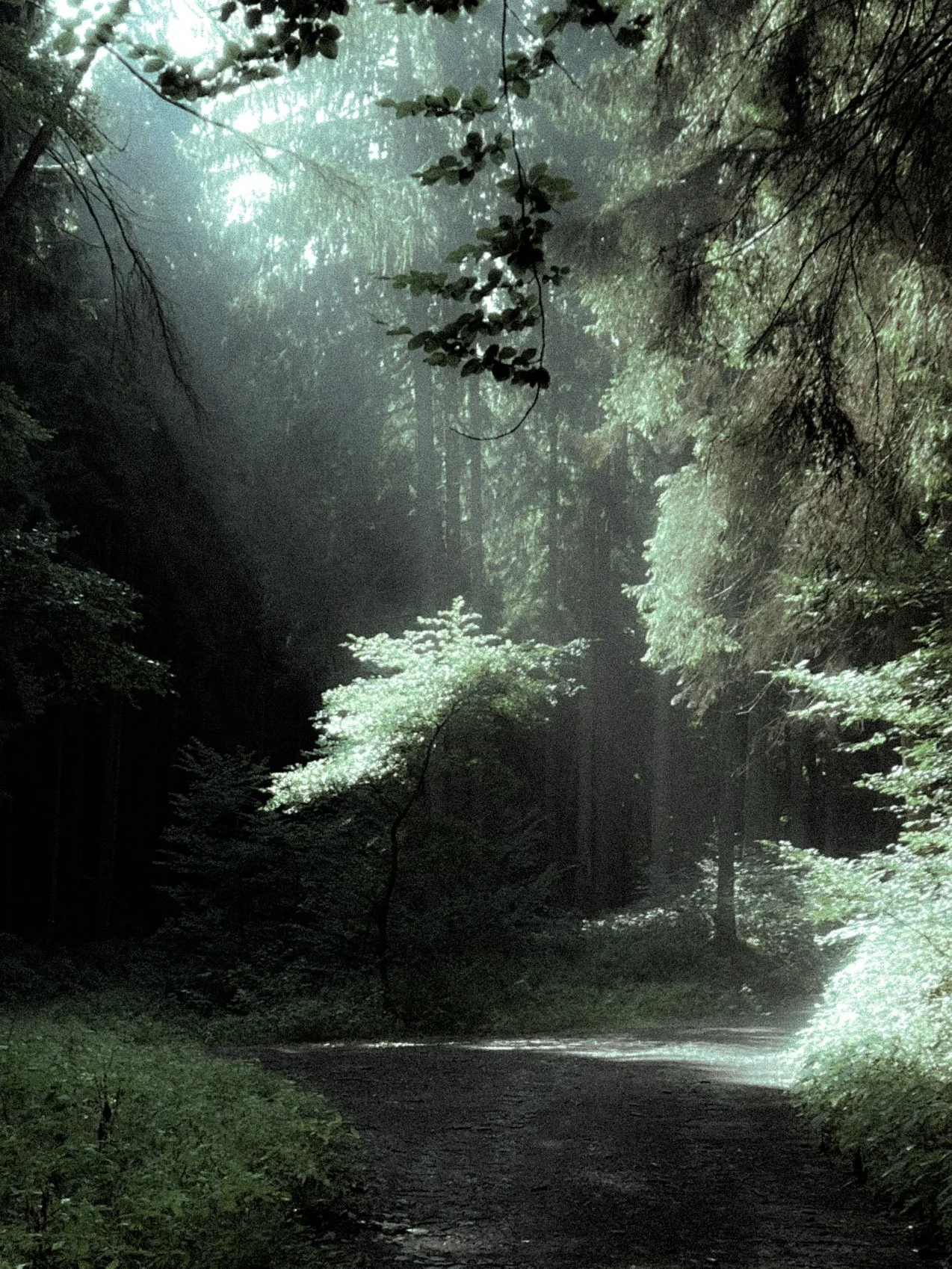05 | Neue Wege