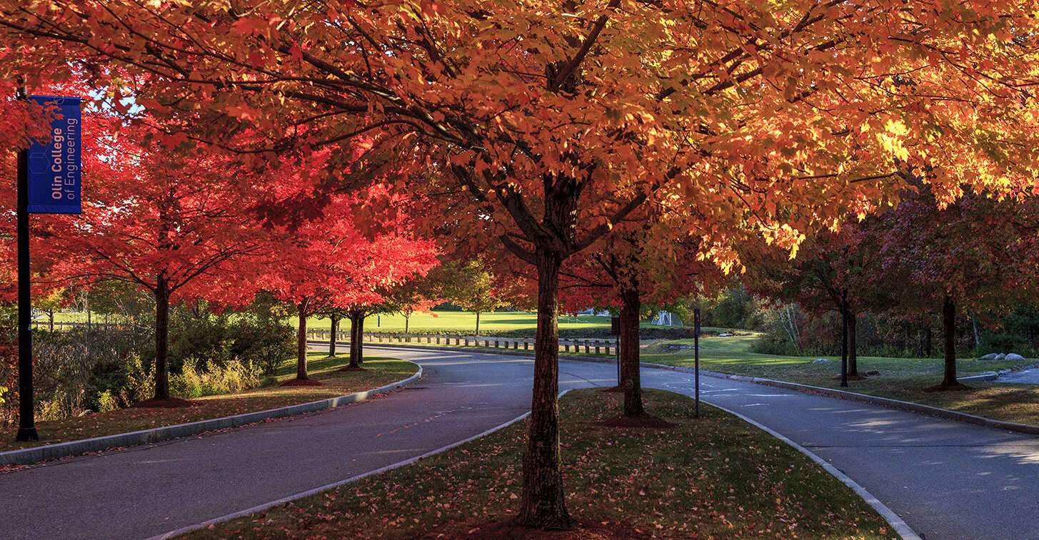 campus-trees-fall.jpg