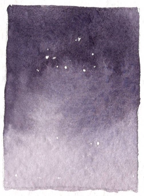Dusky.jpg