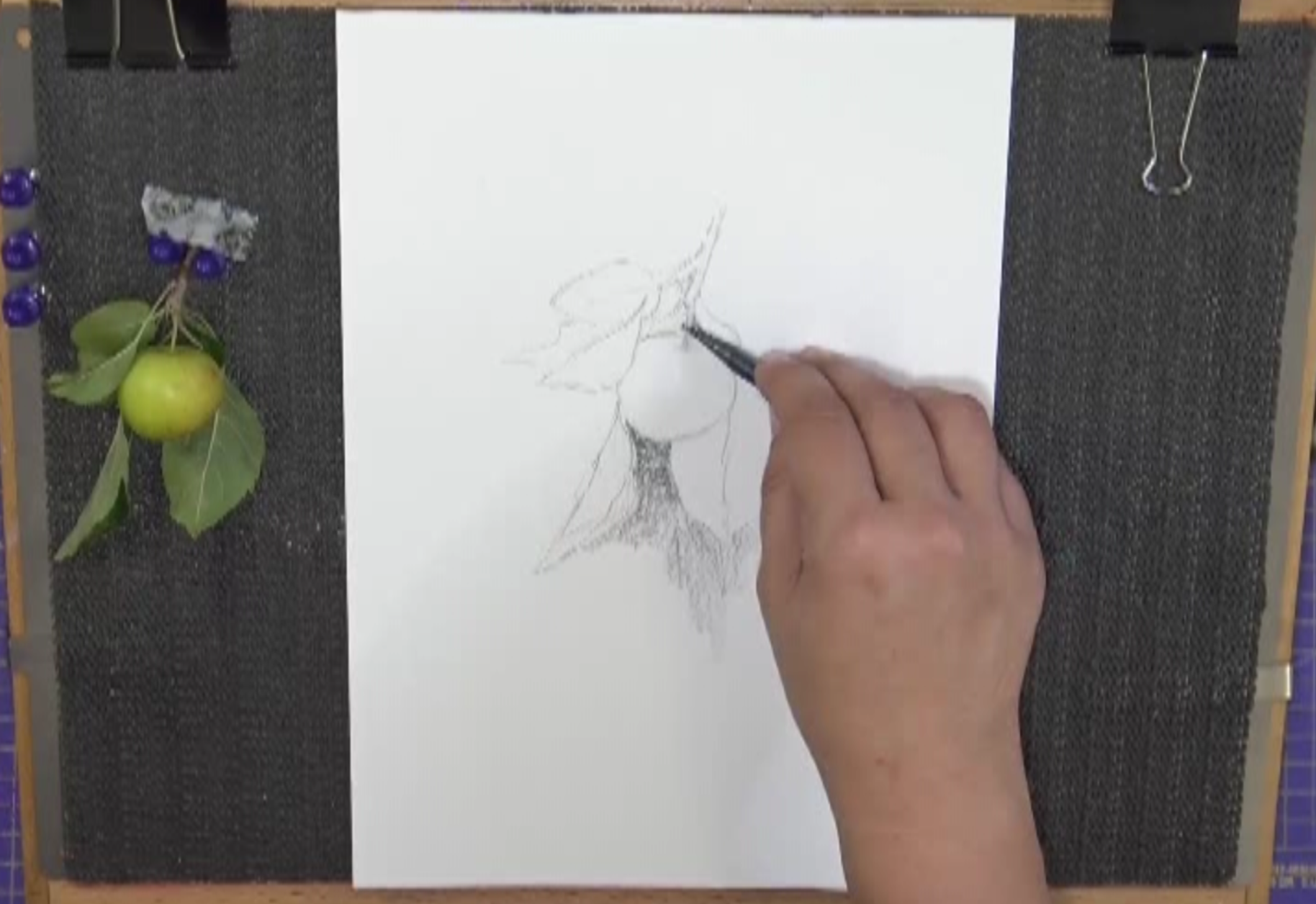 Hand drawing a pear and leaves with a pencil, with a real-life pear reference clipped to the left side of the drawing clipboard.