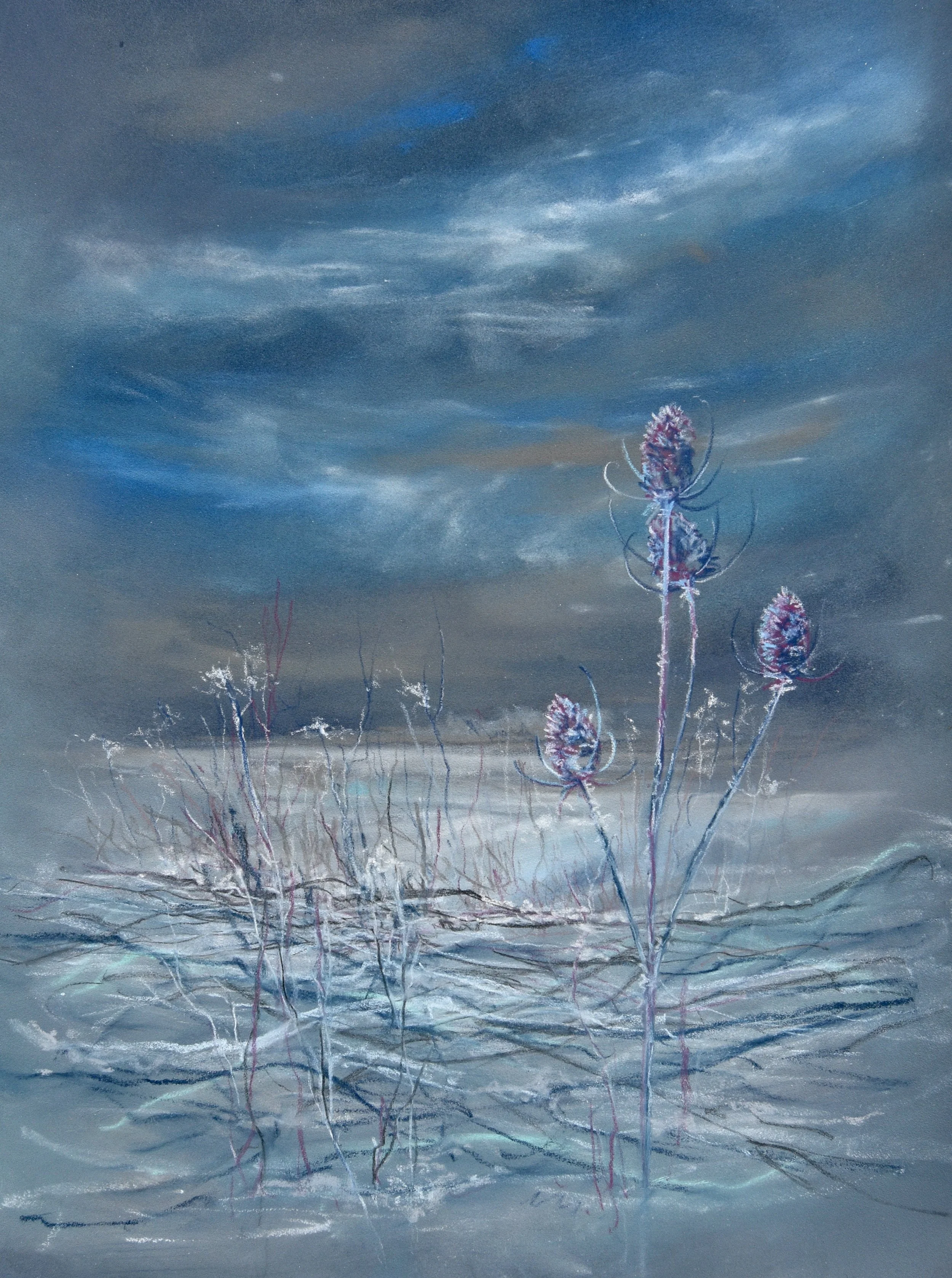 Downend Snow 2.JPG