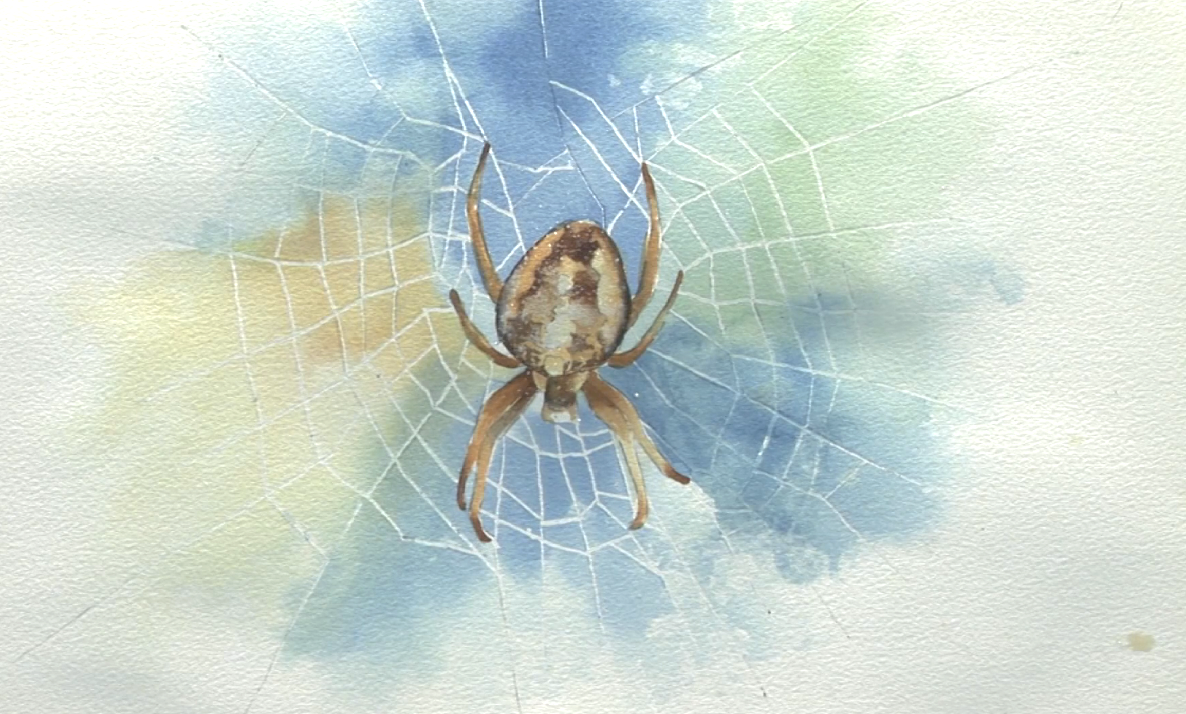 Technique Tuesday Takeover for DAW #3