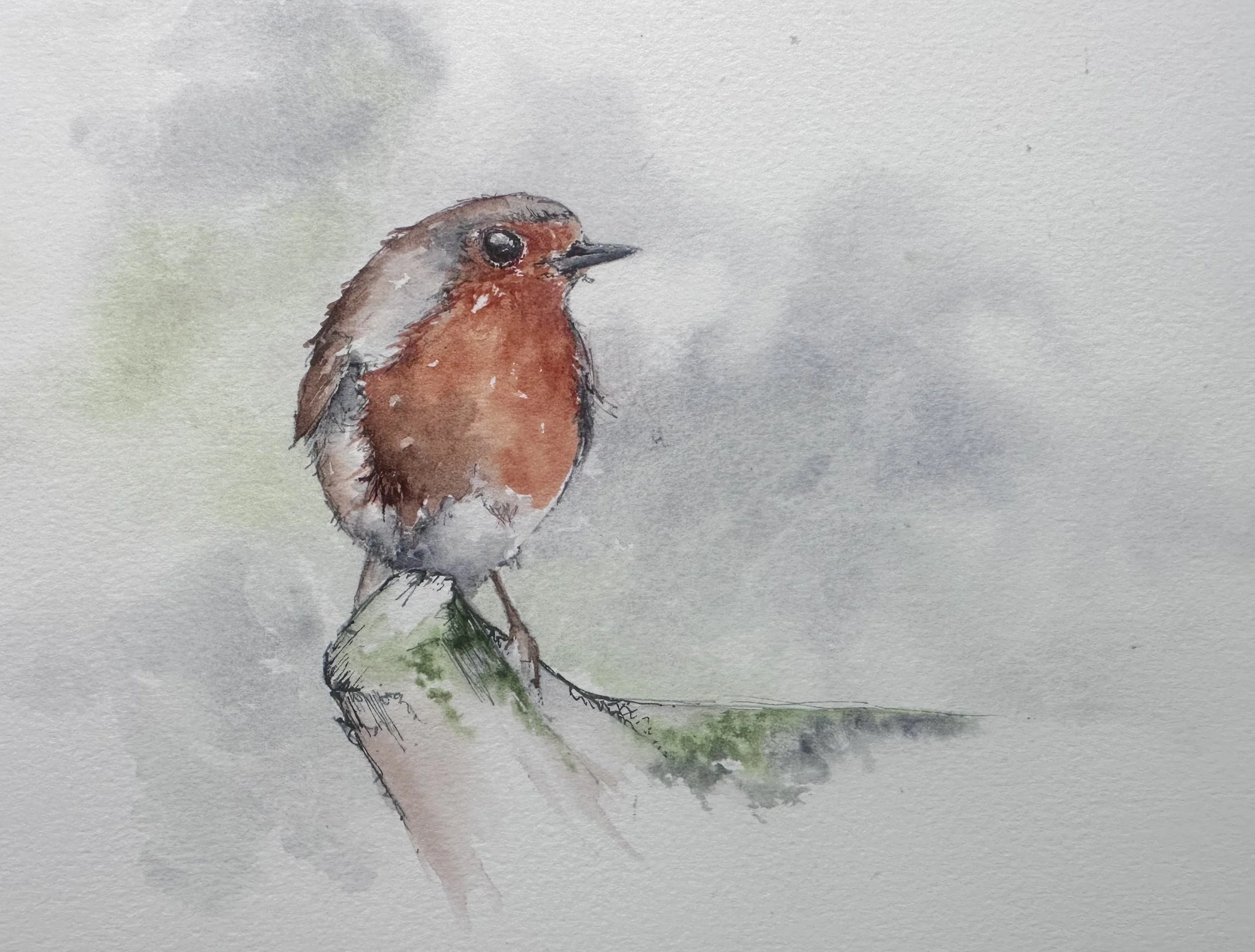 Sixteen of Fifty: Robin