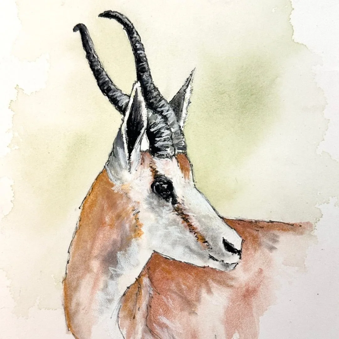 Tomorrow, Ali will share a new Tips &amp; Tricks blog where she will demonstrate tinted charcoal on watercolour paper for this atmospheric interpretation of a dancer's baller shoes.
If you watch via her popular YouTube channel when the video goes liv