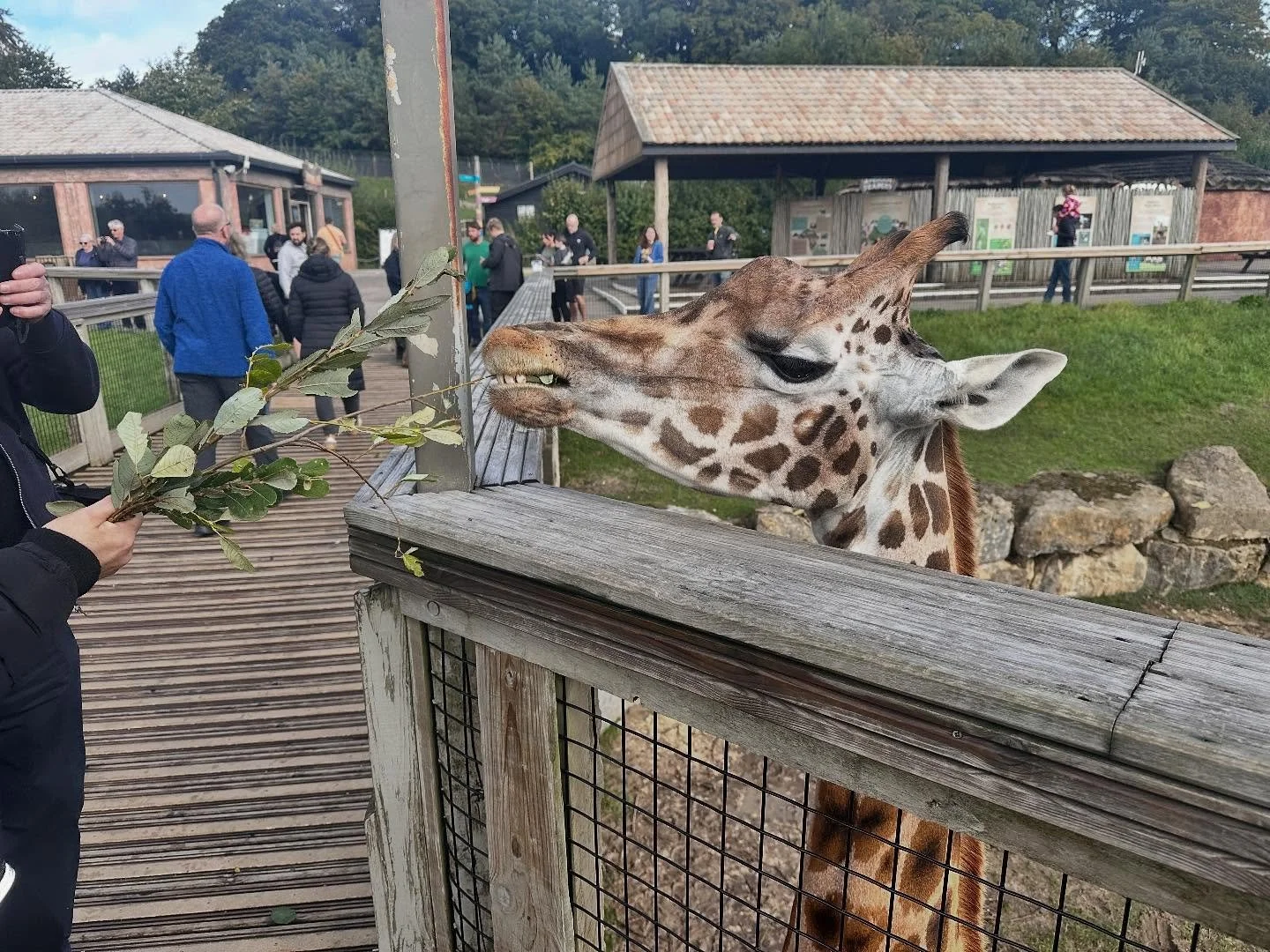 Day two of a bit of R and R, this time a trip to Longleat Safari Park to spend some time with a whole variety of critters. Bad phone photos posted here, plenty of decent ones taken on proper camera for future painting projects #safari #longleat #long