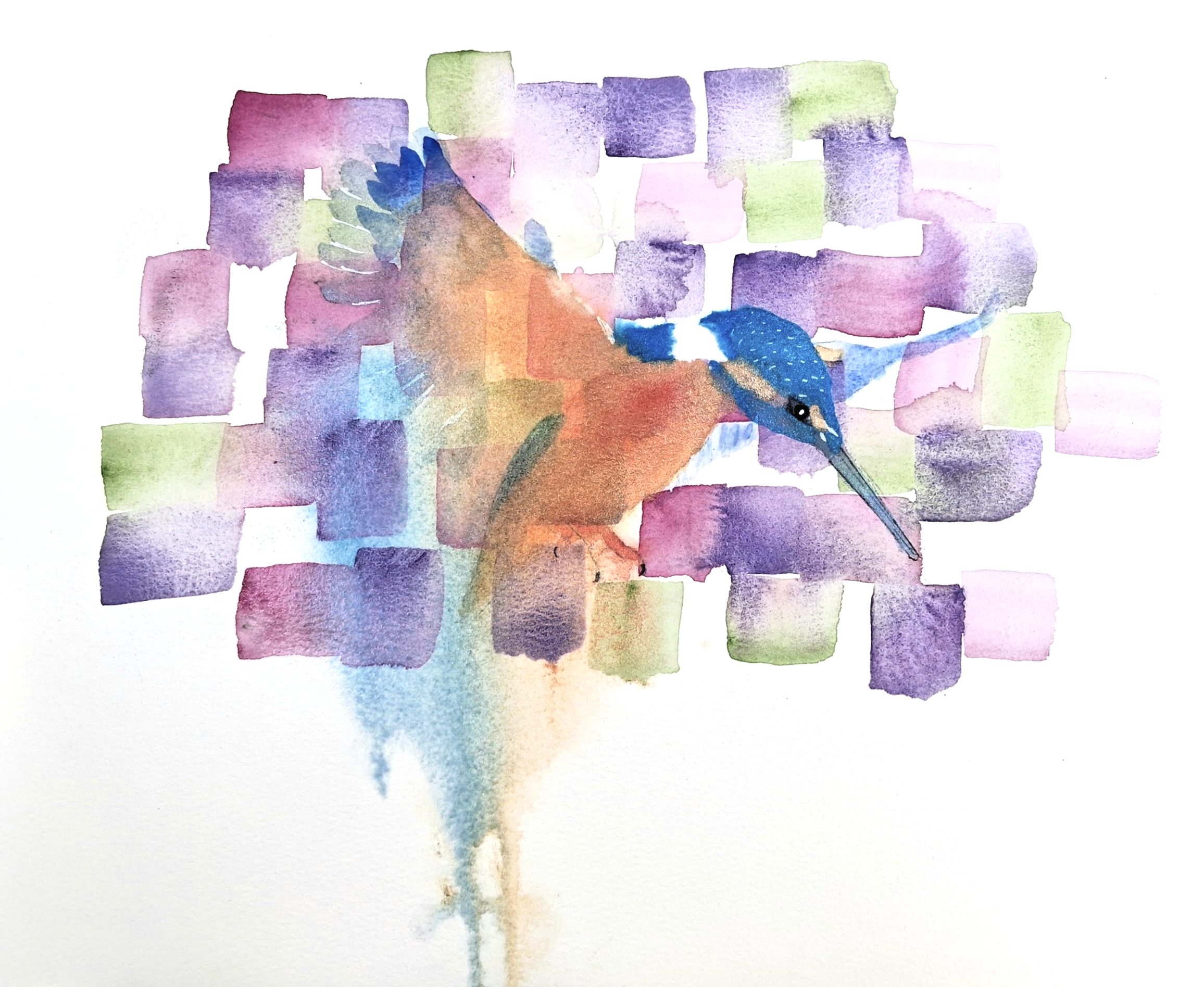 Kingfisher, Denise Rawlings