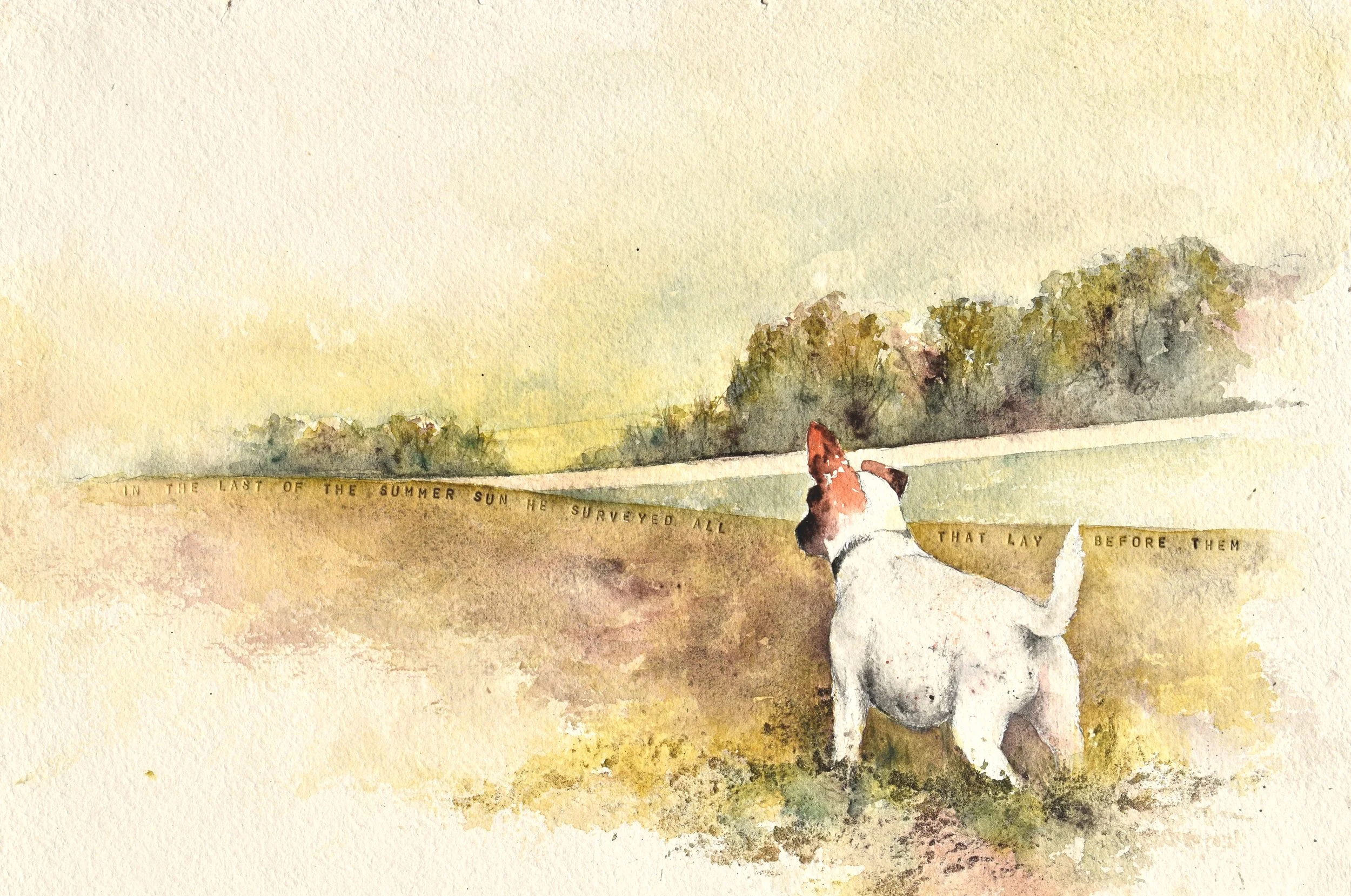 Last of the Summer Sun.jpg