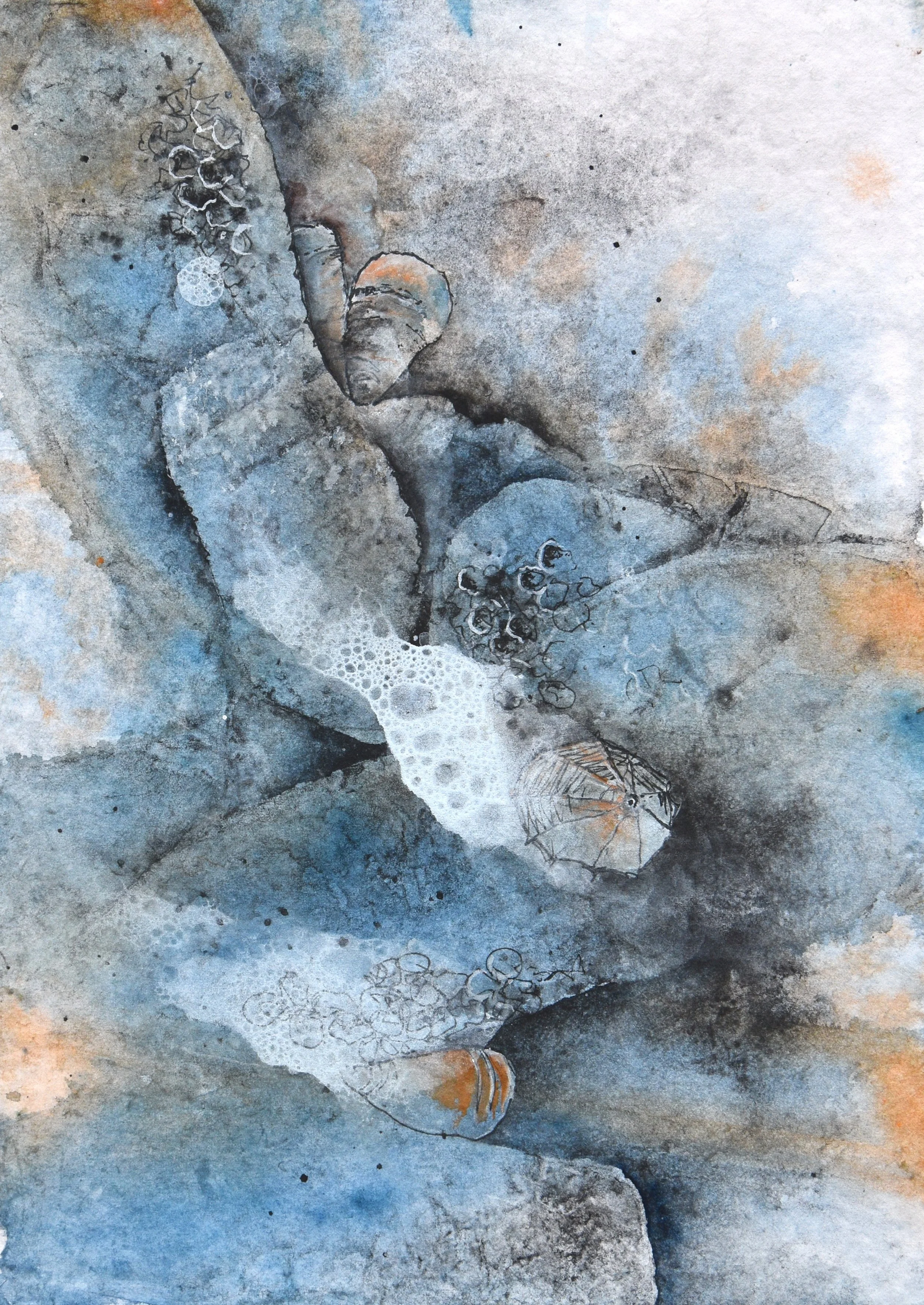 Rockpool