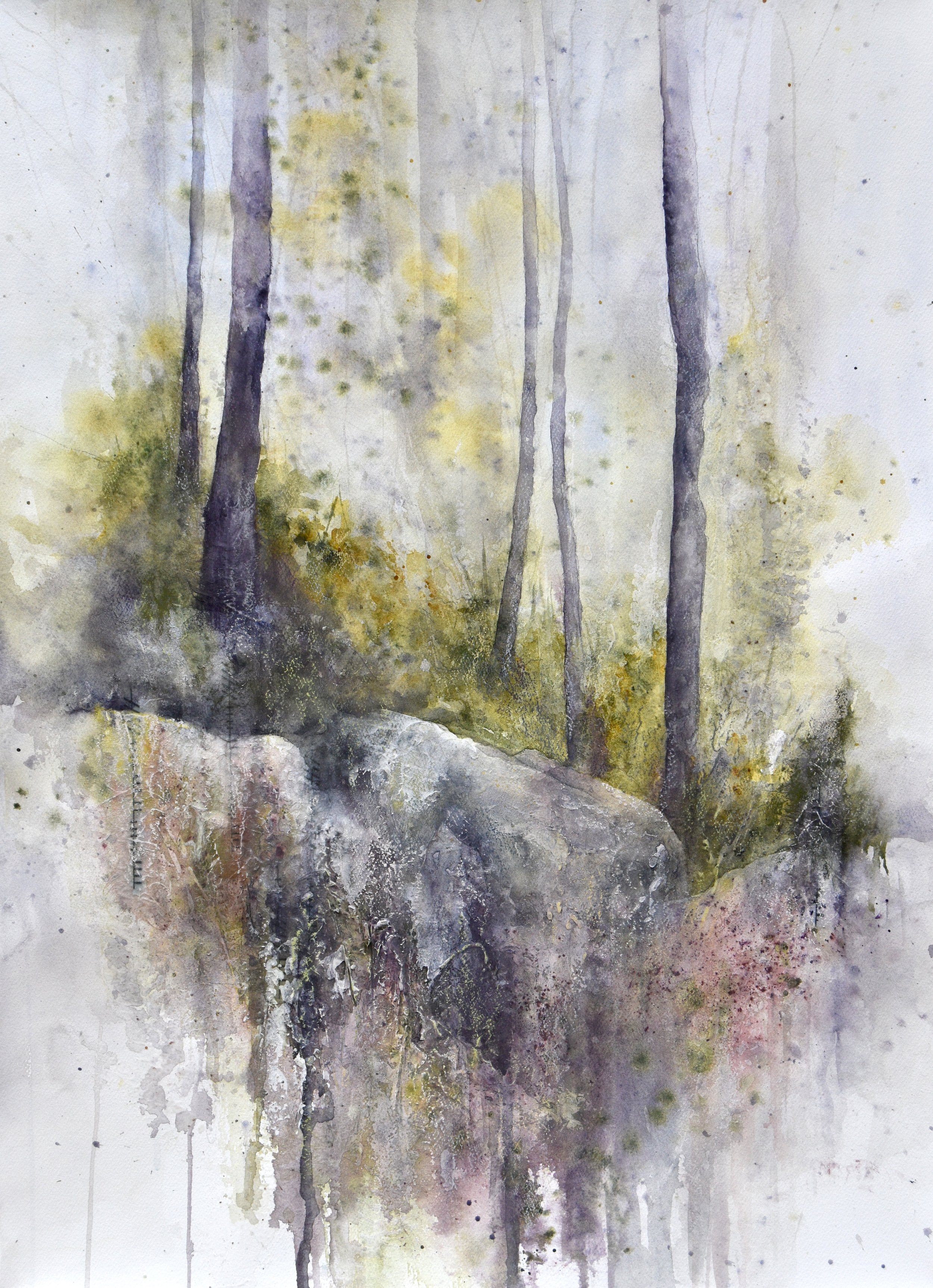 Cornwall Birches.JPG