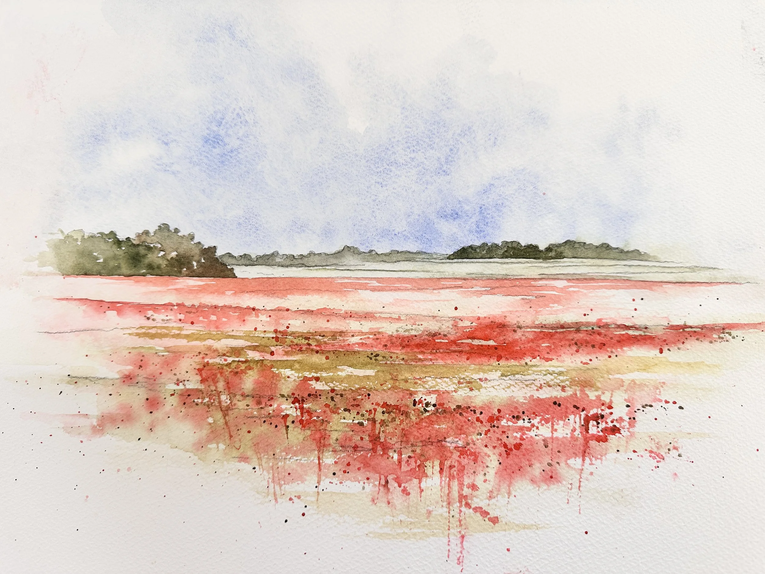Badbury Poppies 1