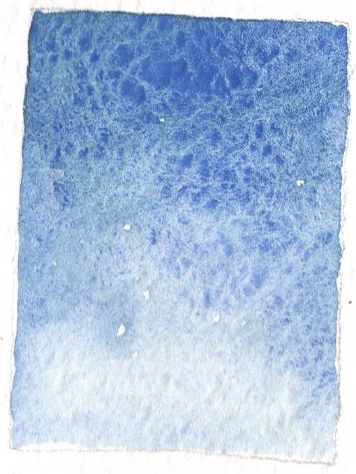 Cob Blue.jpg