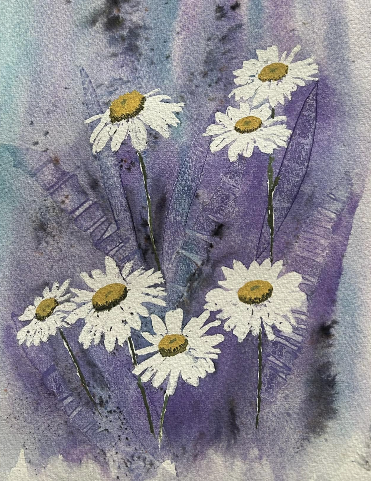 Daisies, Jo Cross