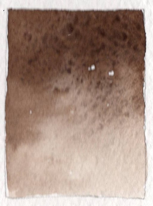 Burnt Umber.jpg