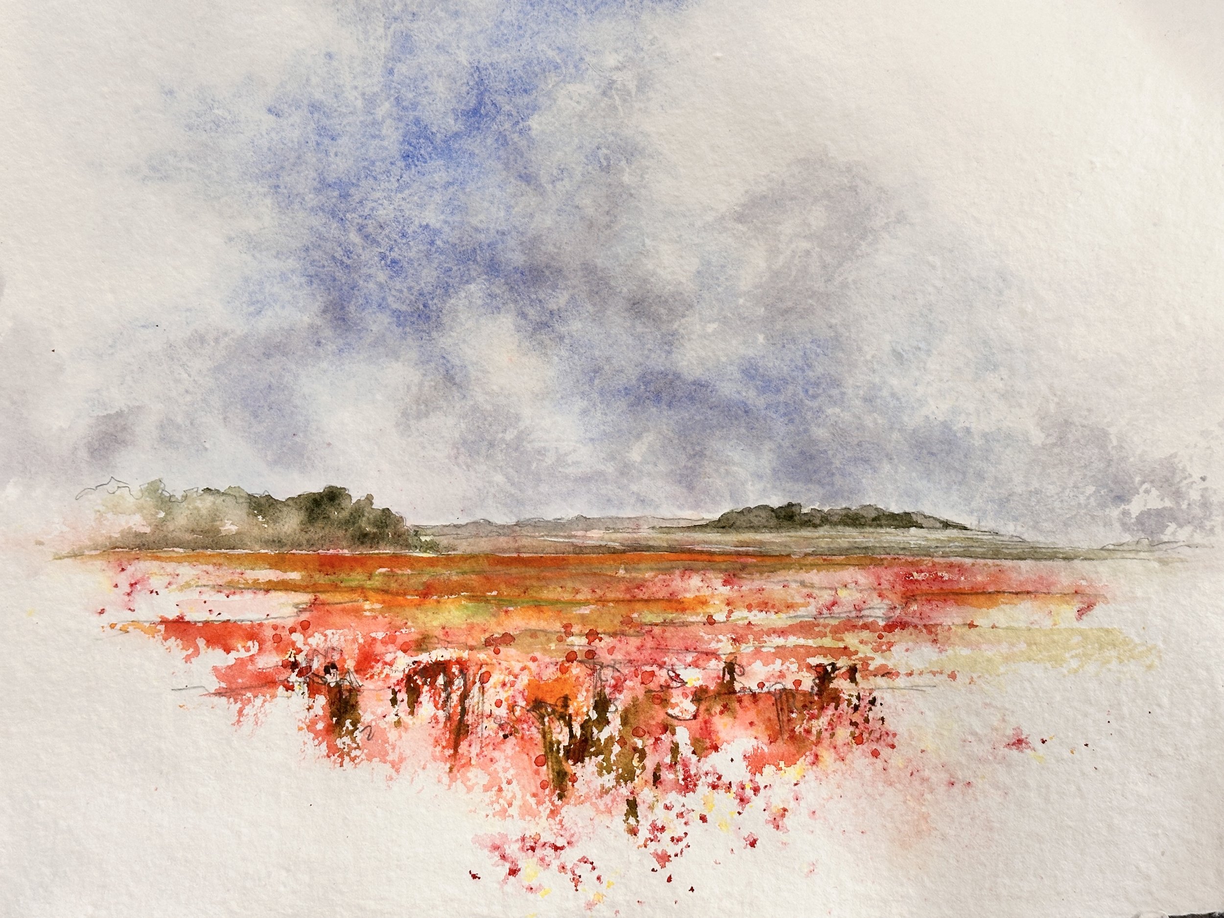 Badbury Poppies V2 (Rough Photo).JPG