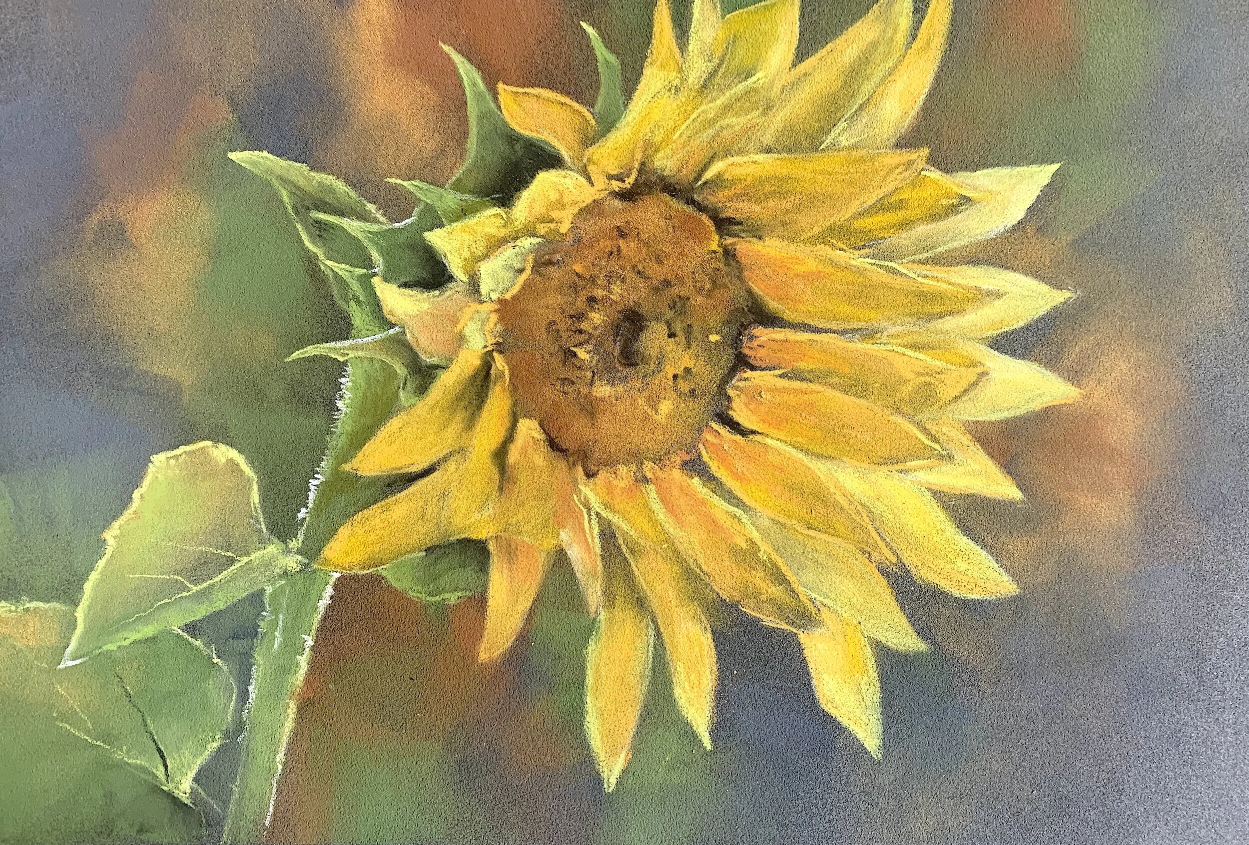 Sunshine on a dark day