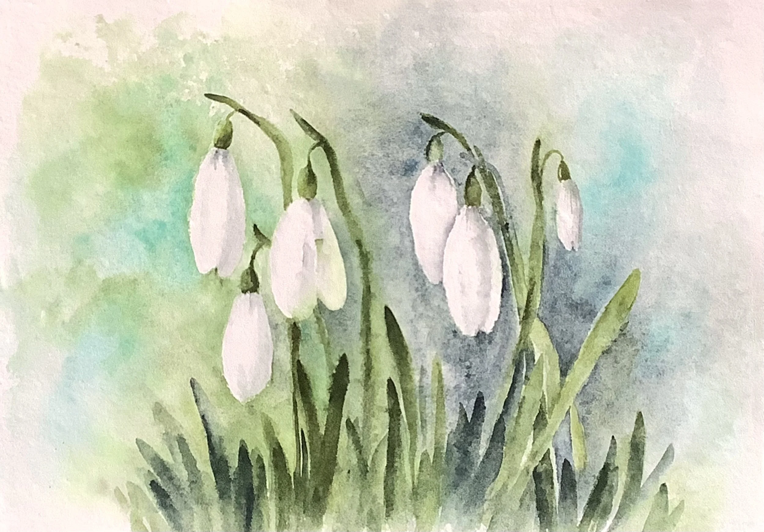 Snowdrops, Fi Miles