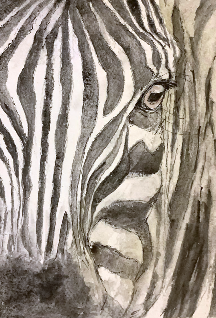 Zebra, Susan Ellis