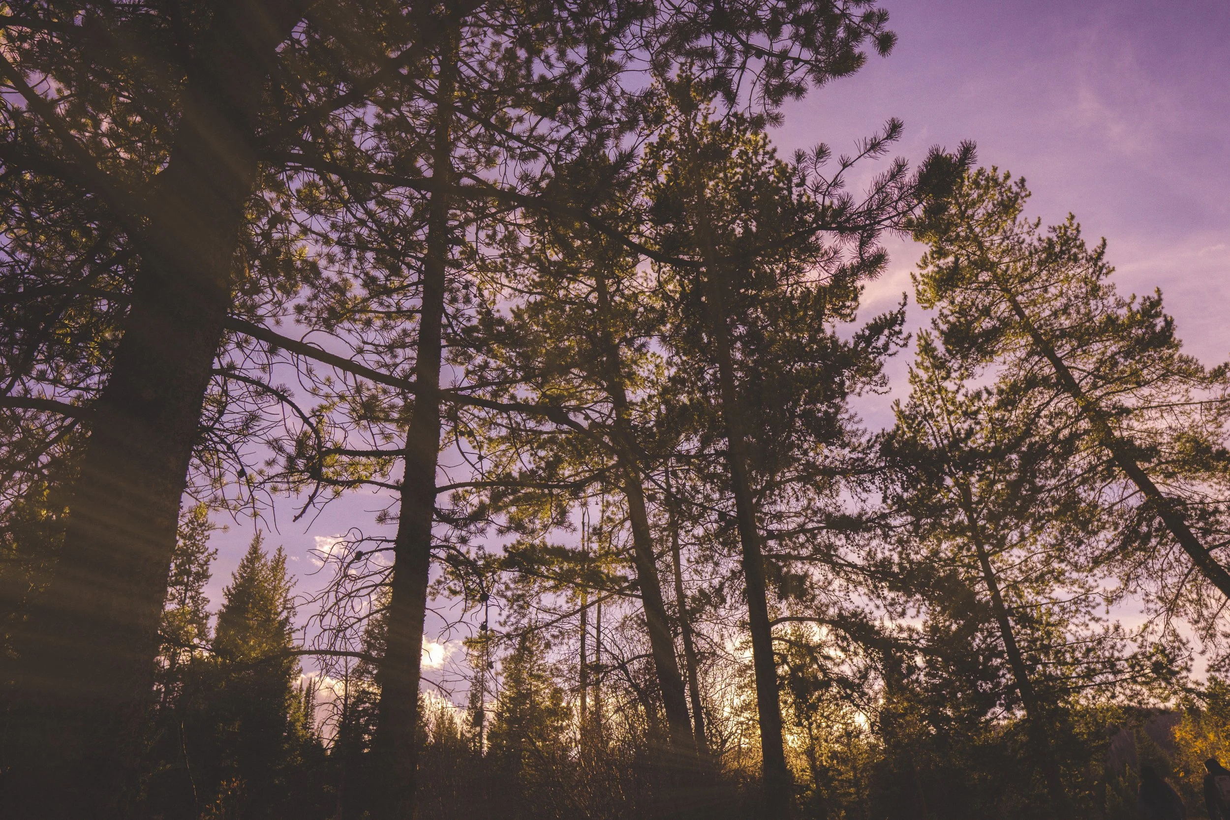 more sun rays.jpg