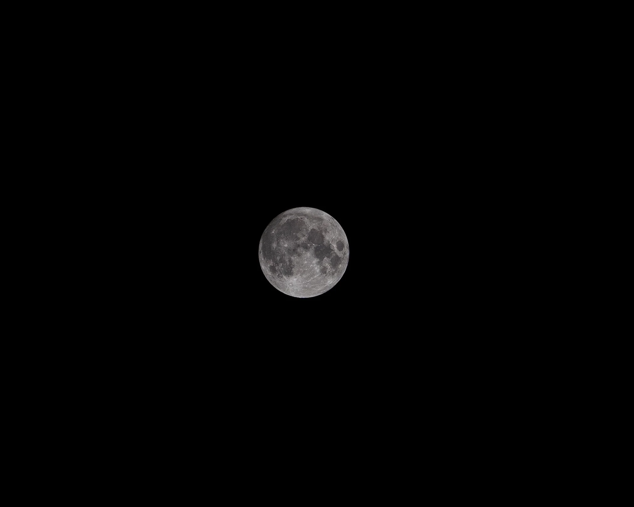 DSC09831.JPG