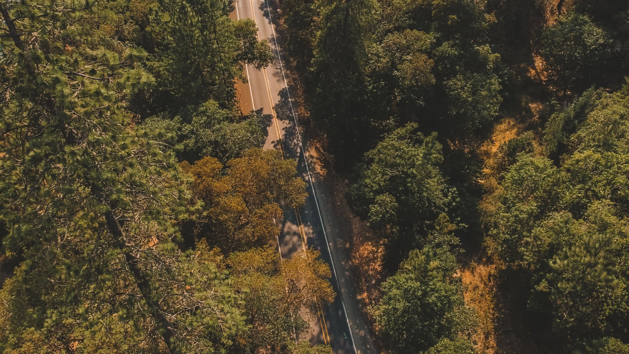 DJI_0120-Edit.jpg