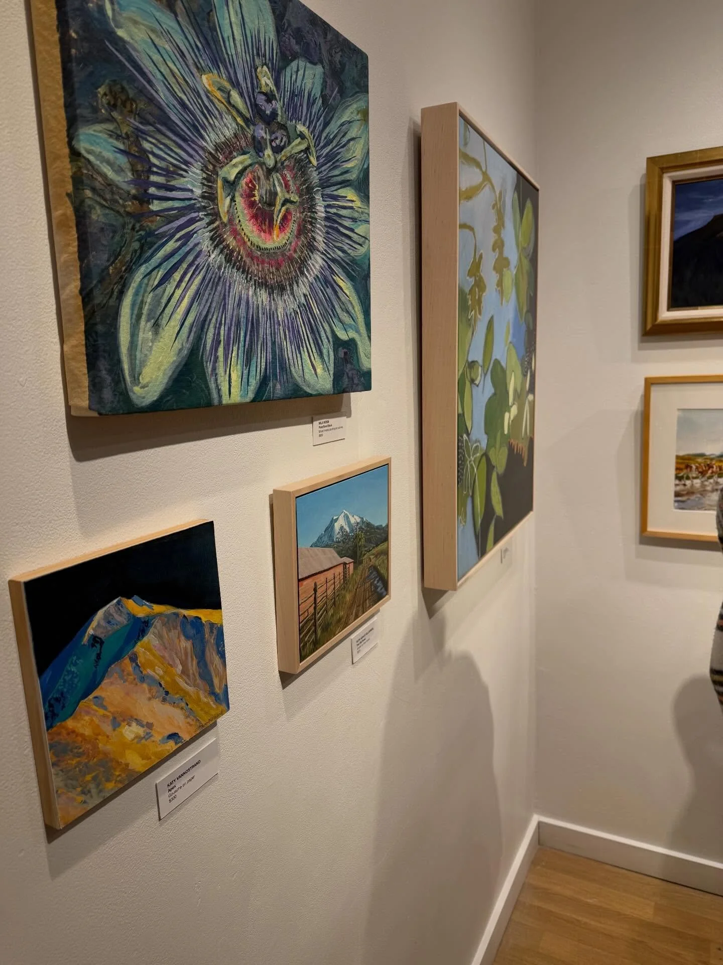 .
.
Lively opening for the 47th Annual Valley Visual Show at The Launchpad in Carbondale, CO, on view now through February 26, 2026. I love being part of this show!

My painting on exhibit is:
Passiflore Bleue, 24 x 20 x 1.5 in
Mixed media painting o