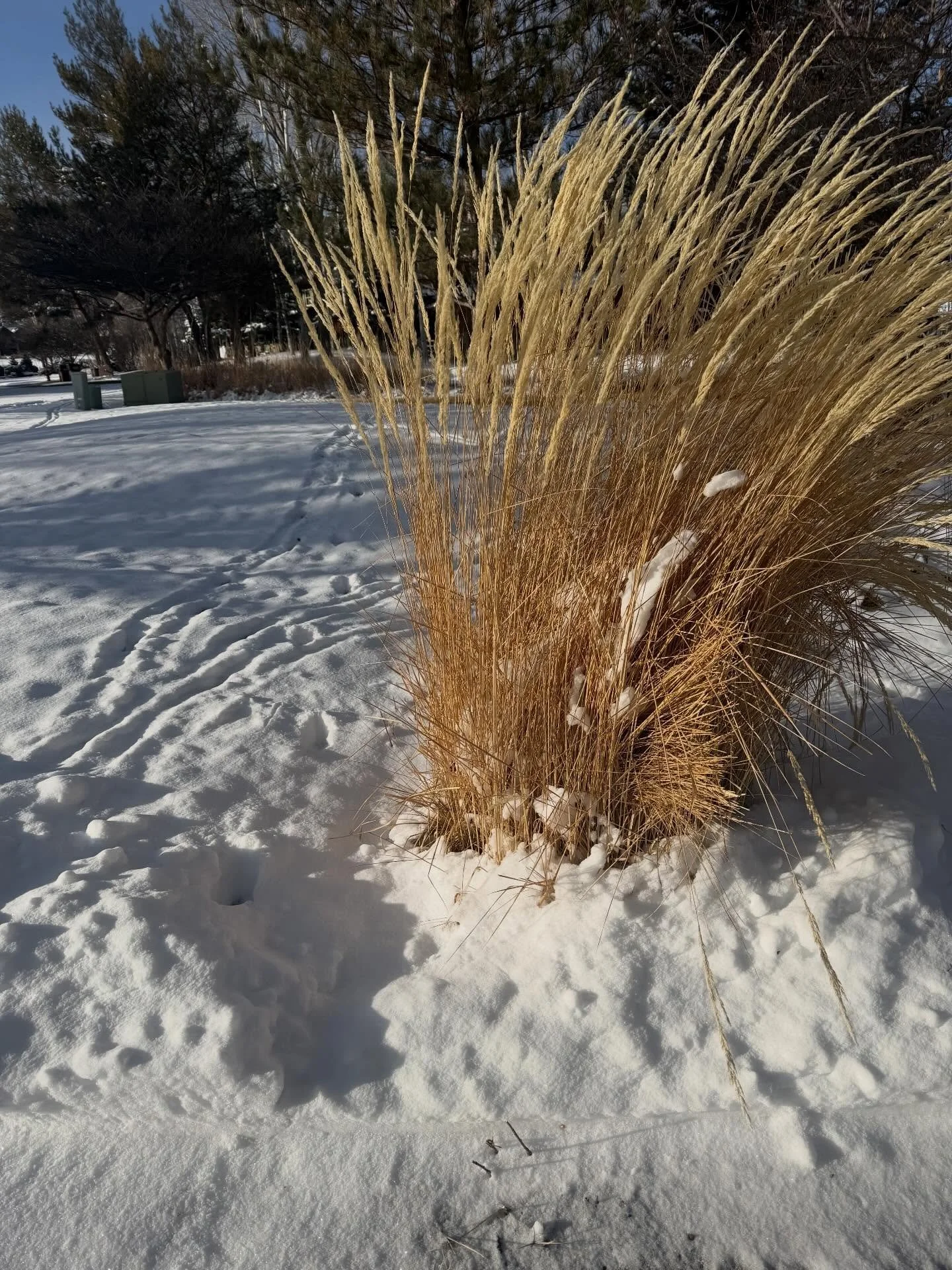 .
.
Winter has finally arrived in western Colorado.
🌬️