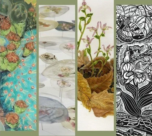 Art that Matters to the Planet : Beyond Beauty