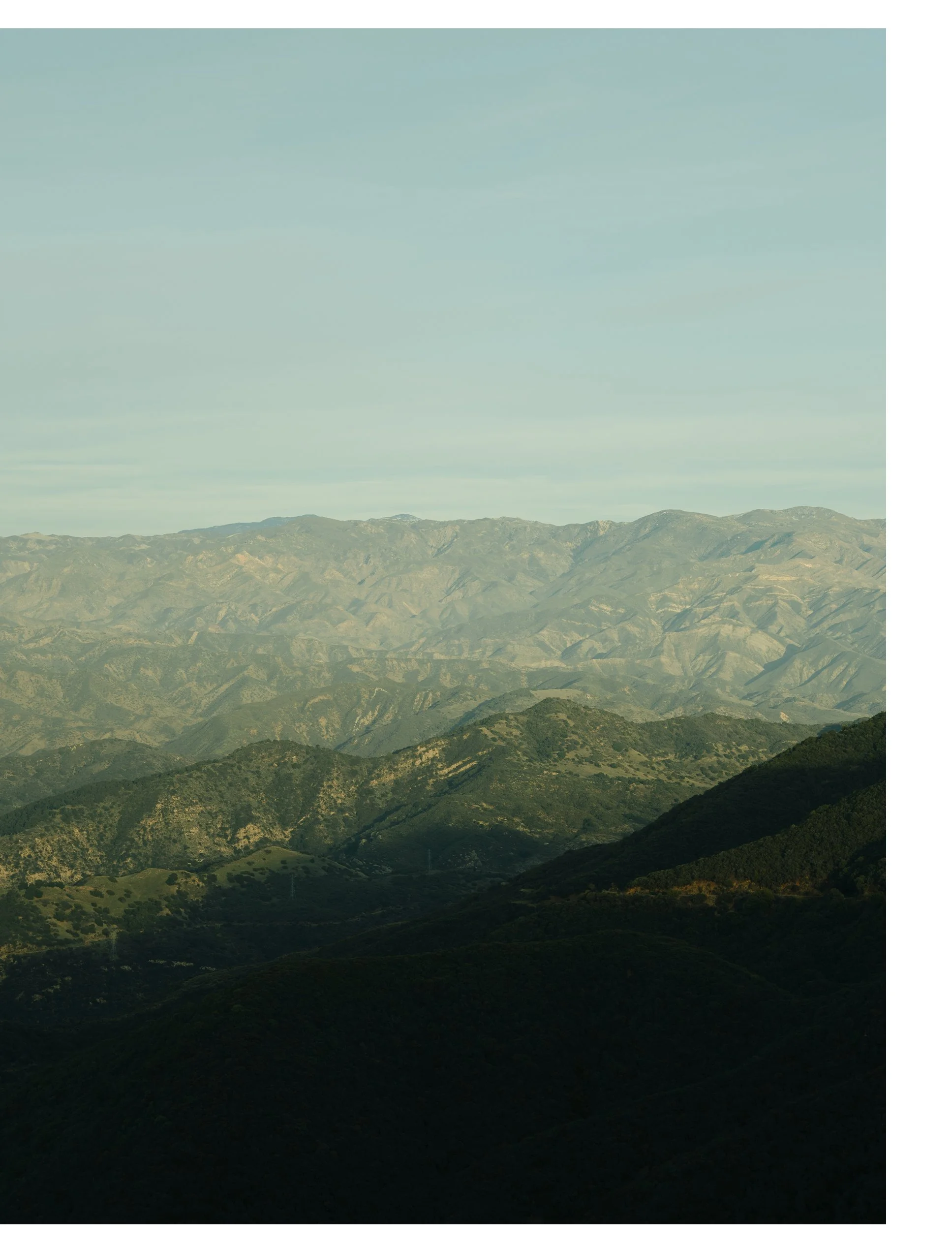 Artboard 1 copy 2.jpg