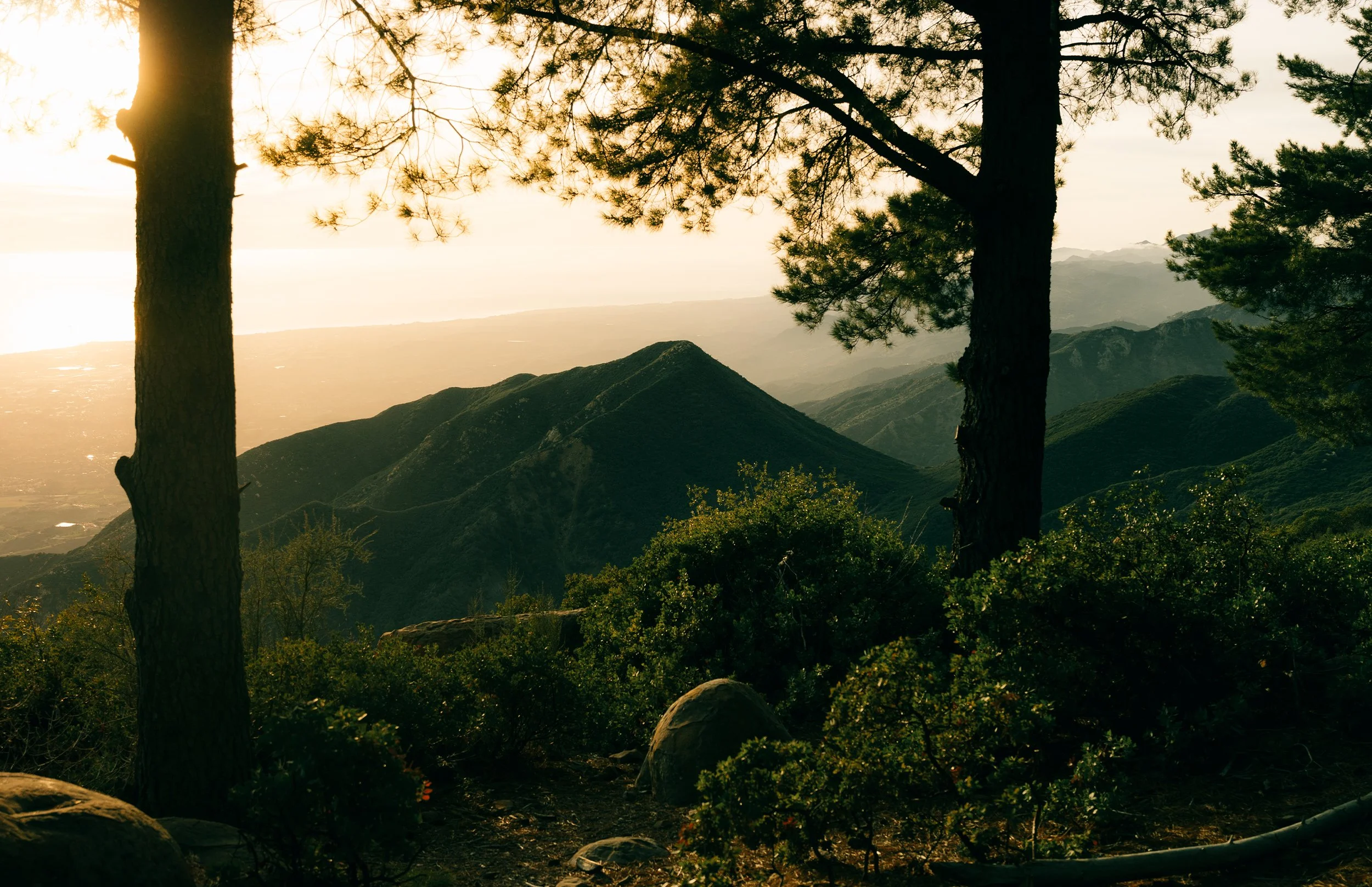 Artboard 1 copy 3.jpg