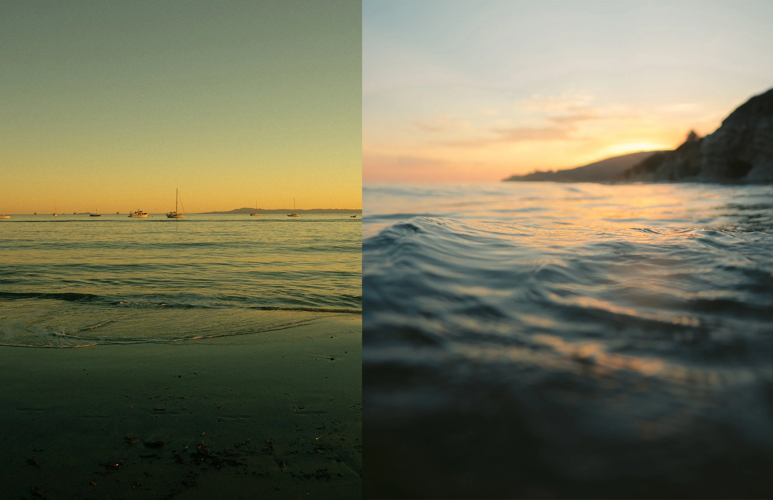 Artboard 1 copy 4.jpg