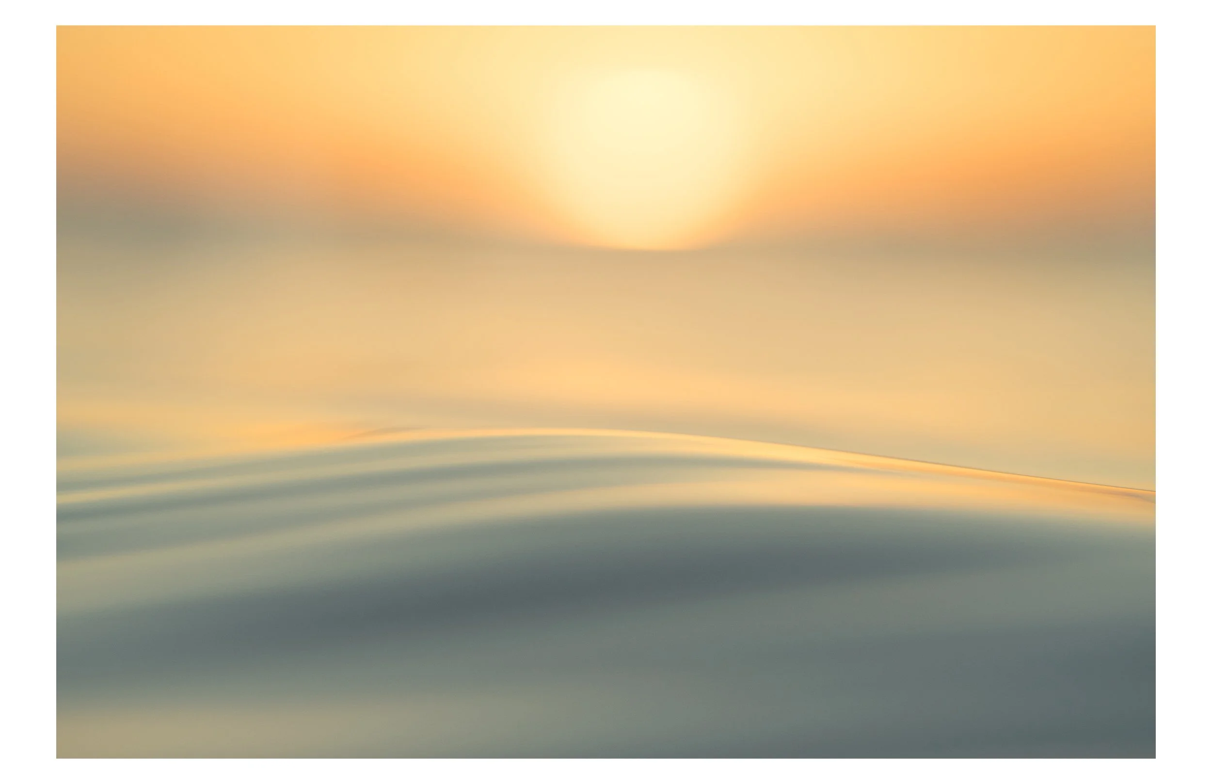 Artboard 1 copy 5.jpg