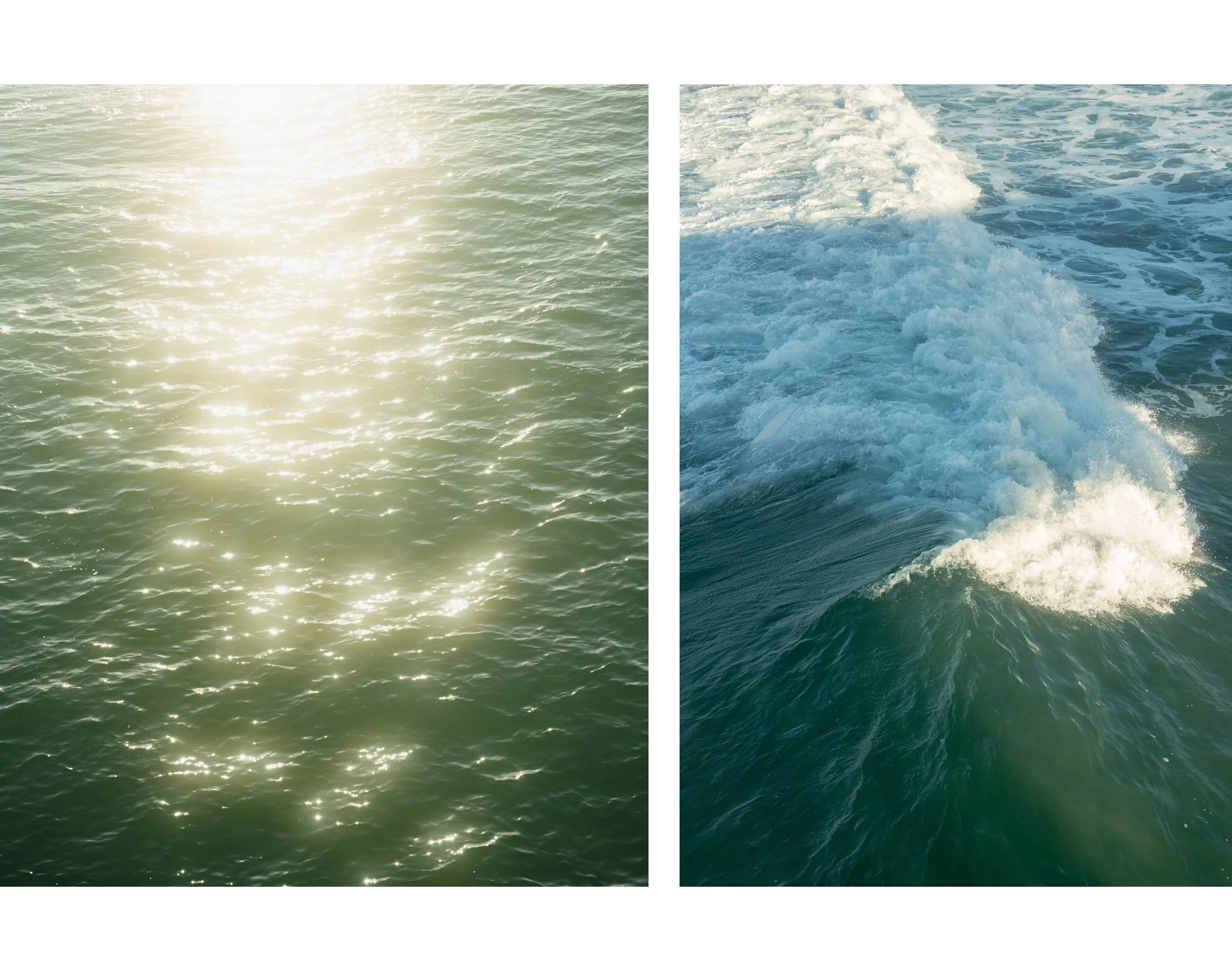 Artboard 1 copy 8.jpg