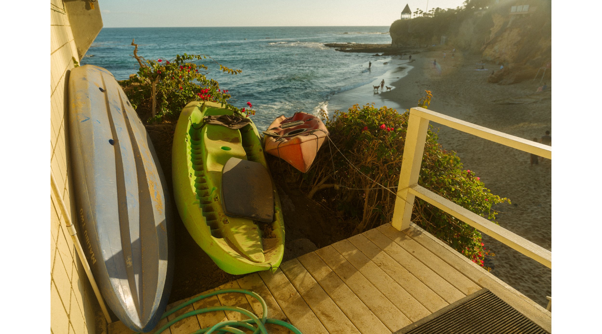 Artboard 1 copy 3.jpg