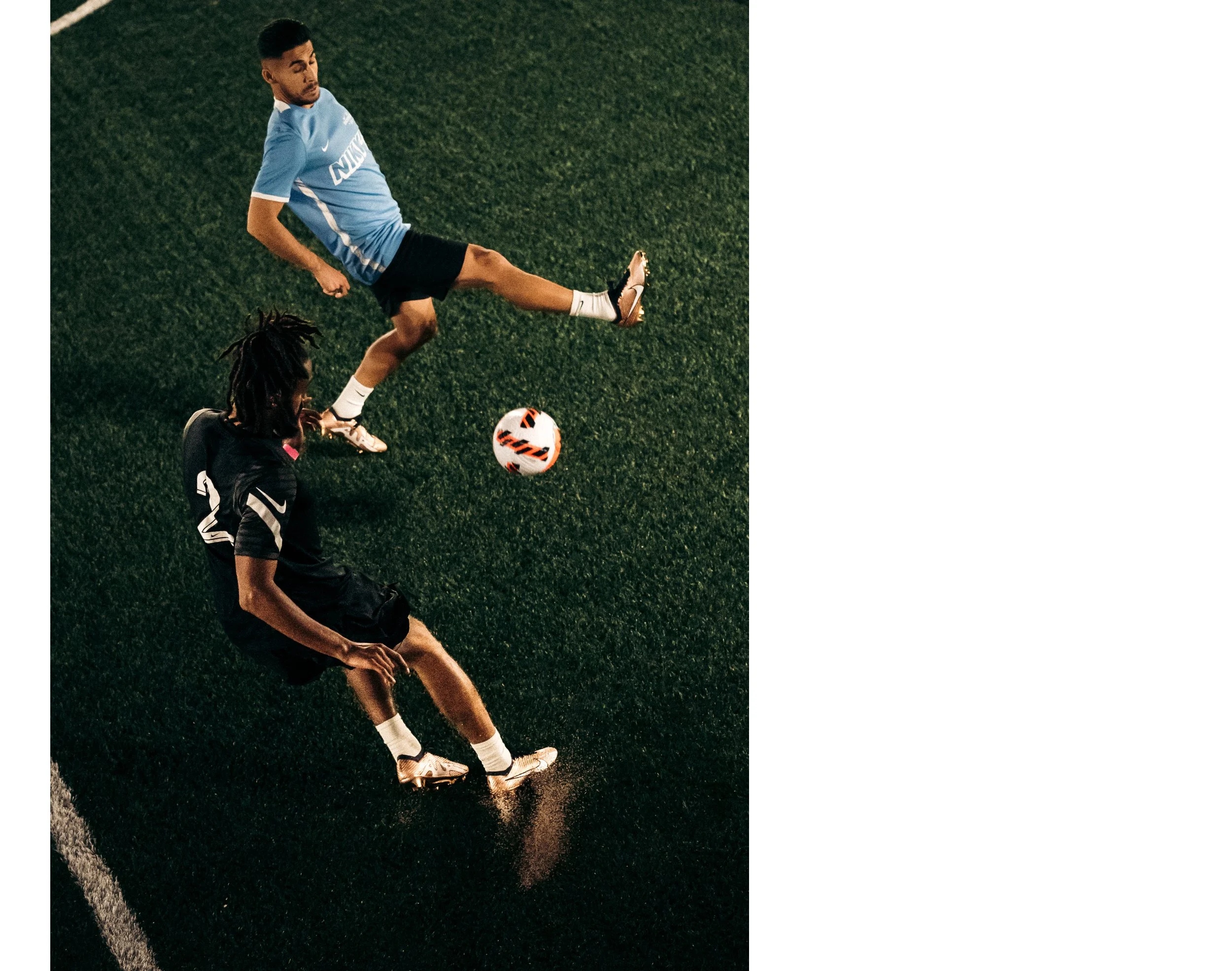 Artboard 1 copy 8.jpg