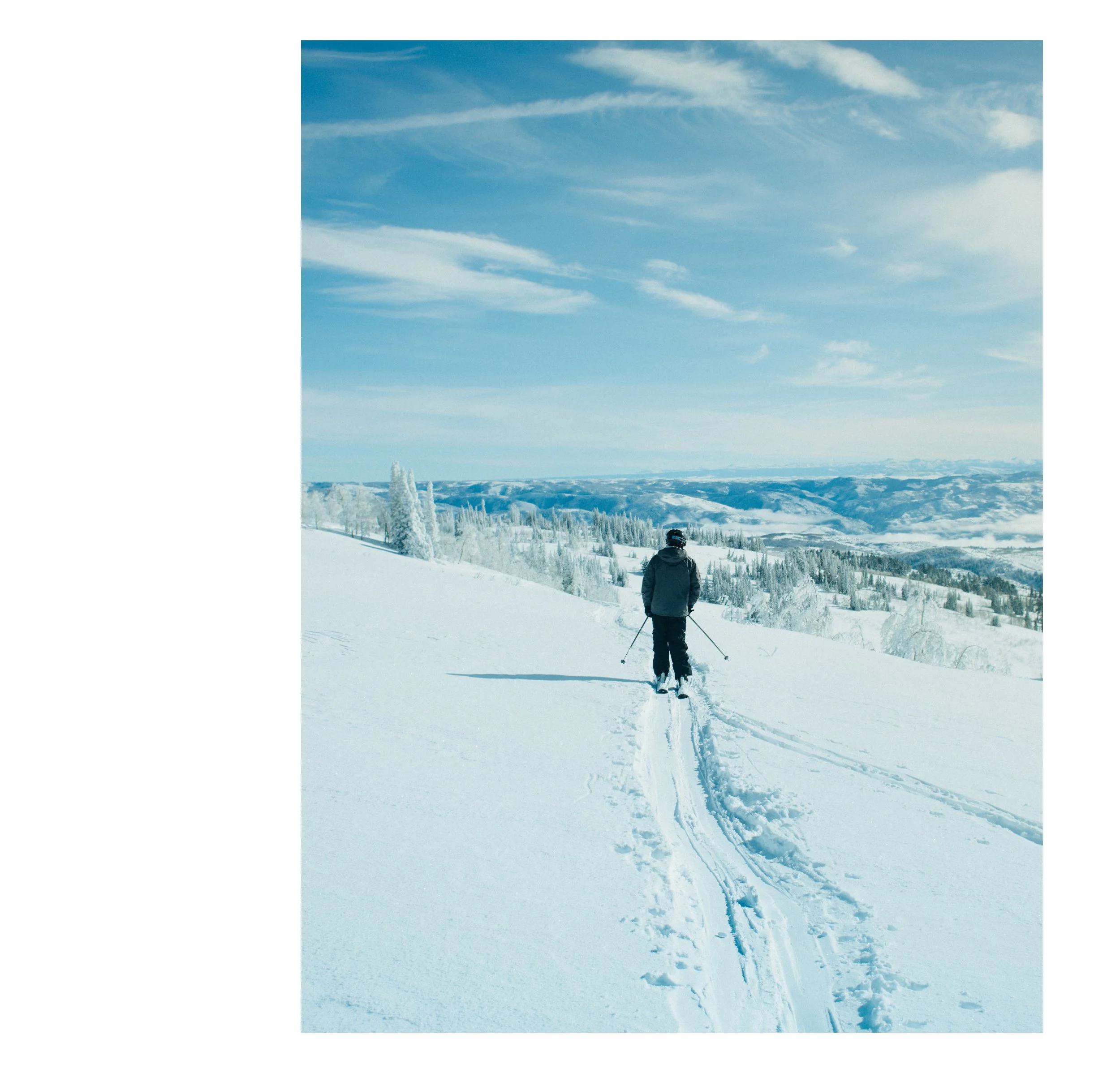 Artboard 1 copy 5.jpg