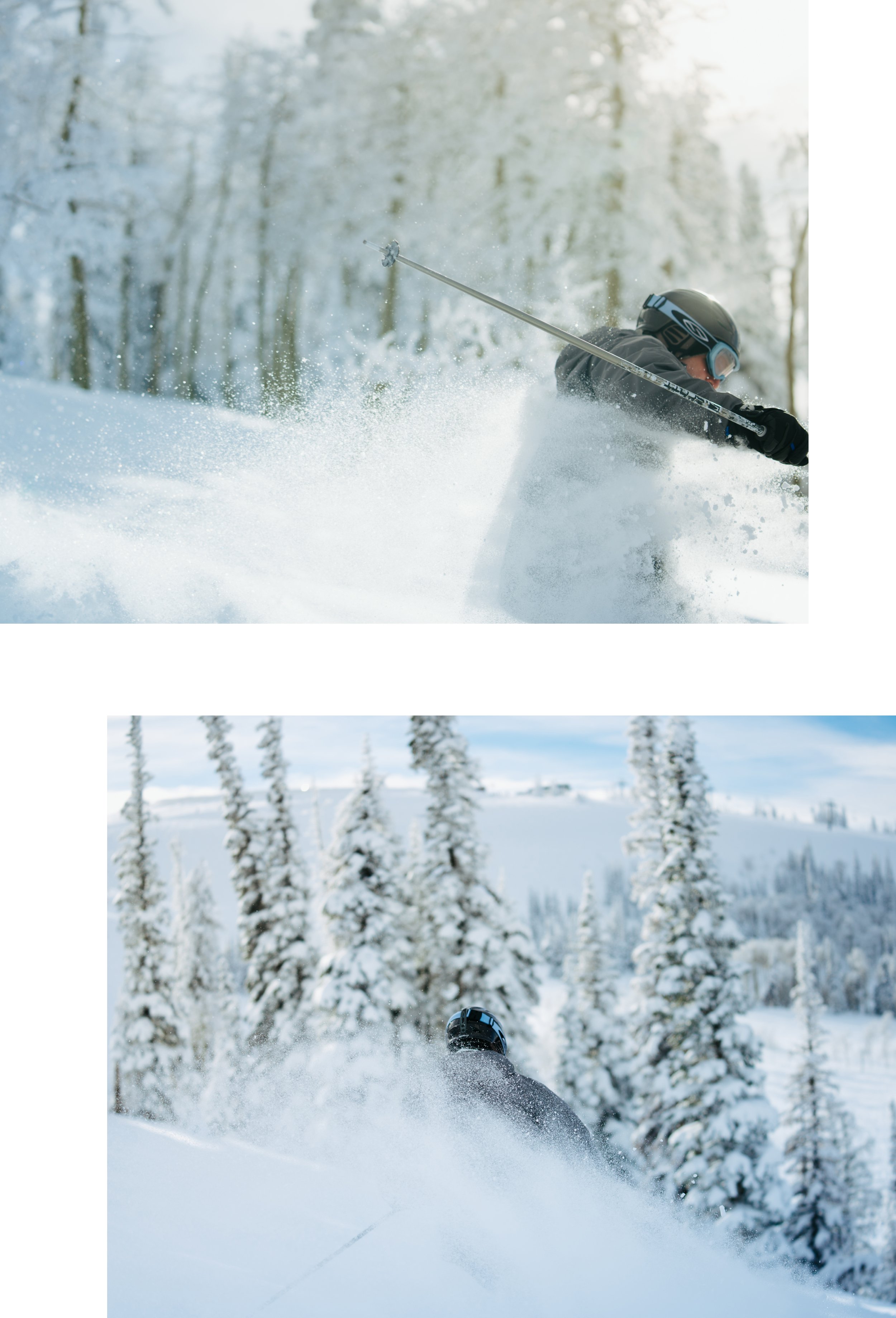 Artboard 1 copy 9.jpg