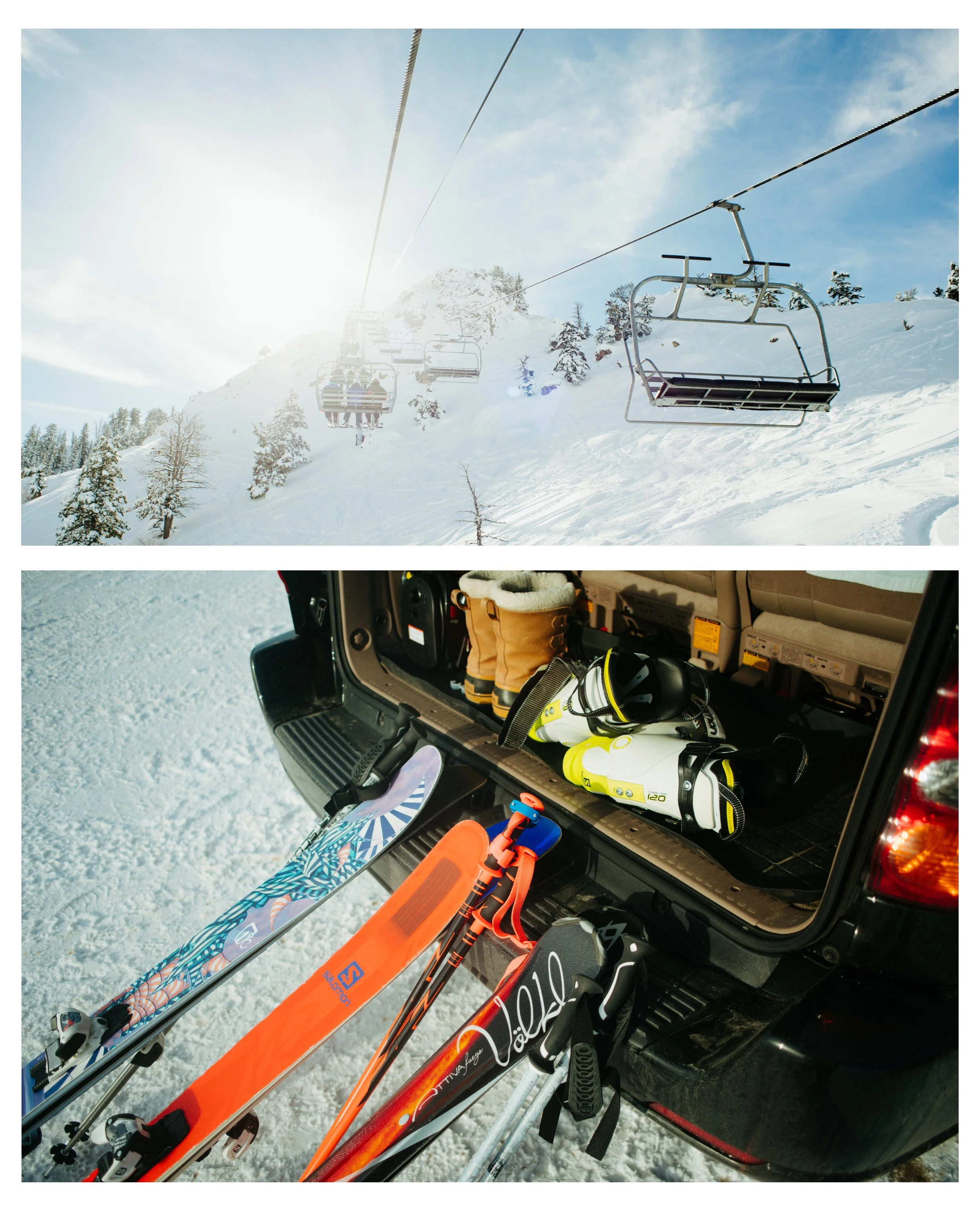 Artboard 1 copy 12.jpg