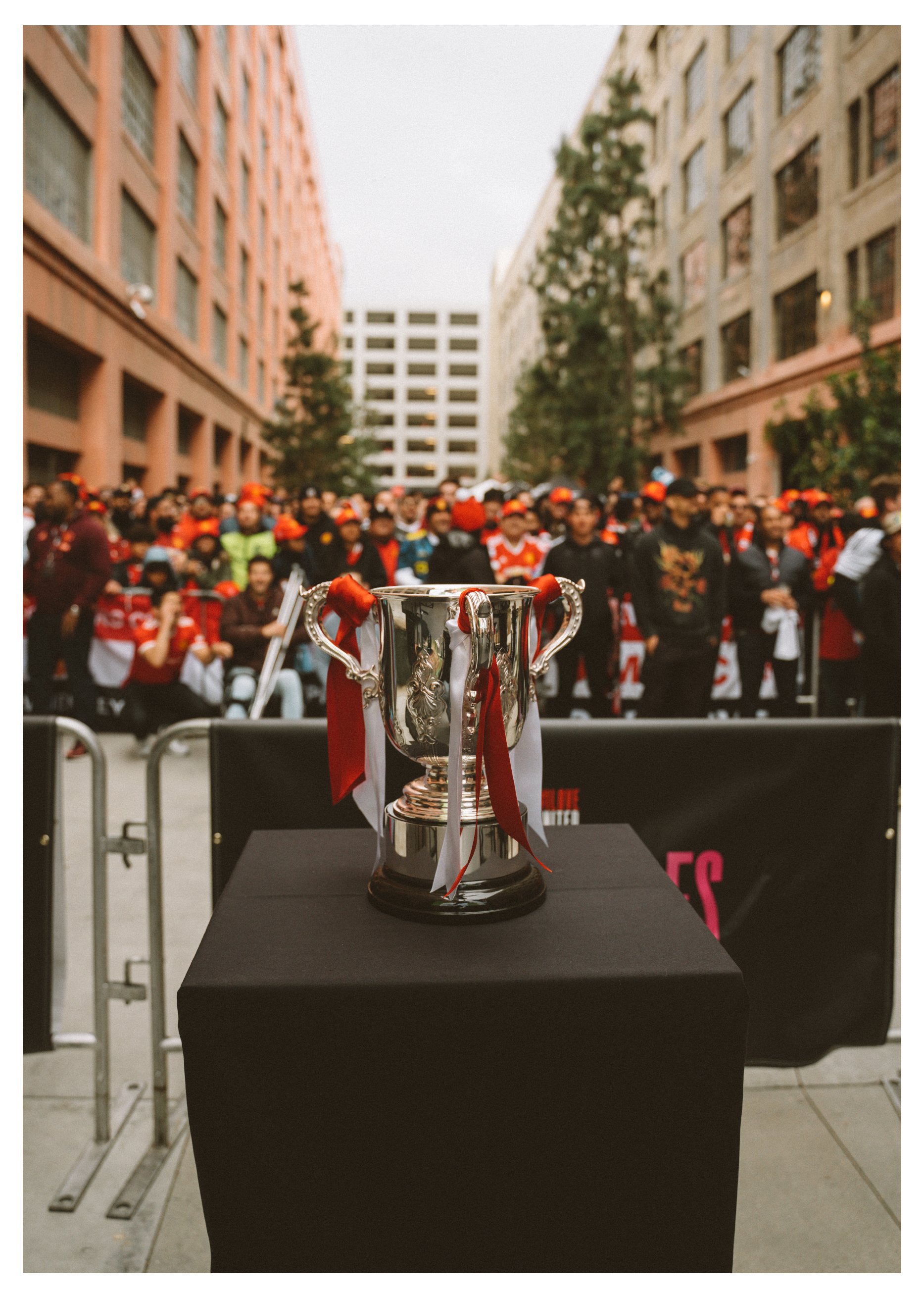 Artboard 1 copy 12.jpg