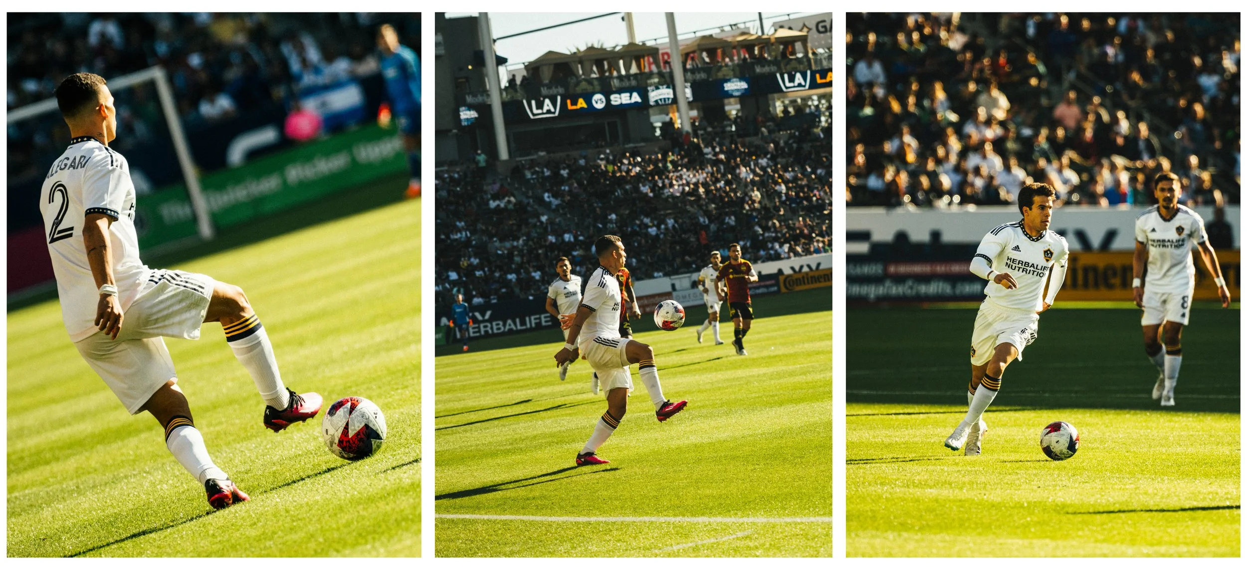 Artboard 1 copy 4.jpg