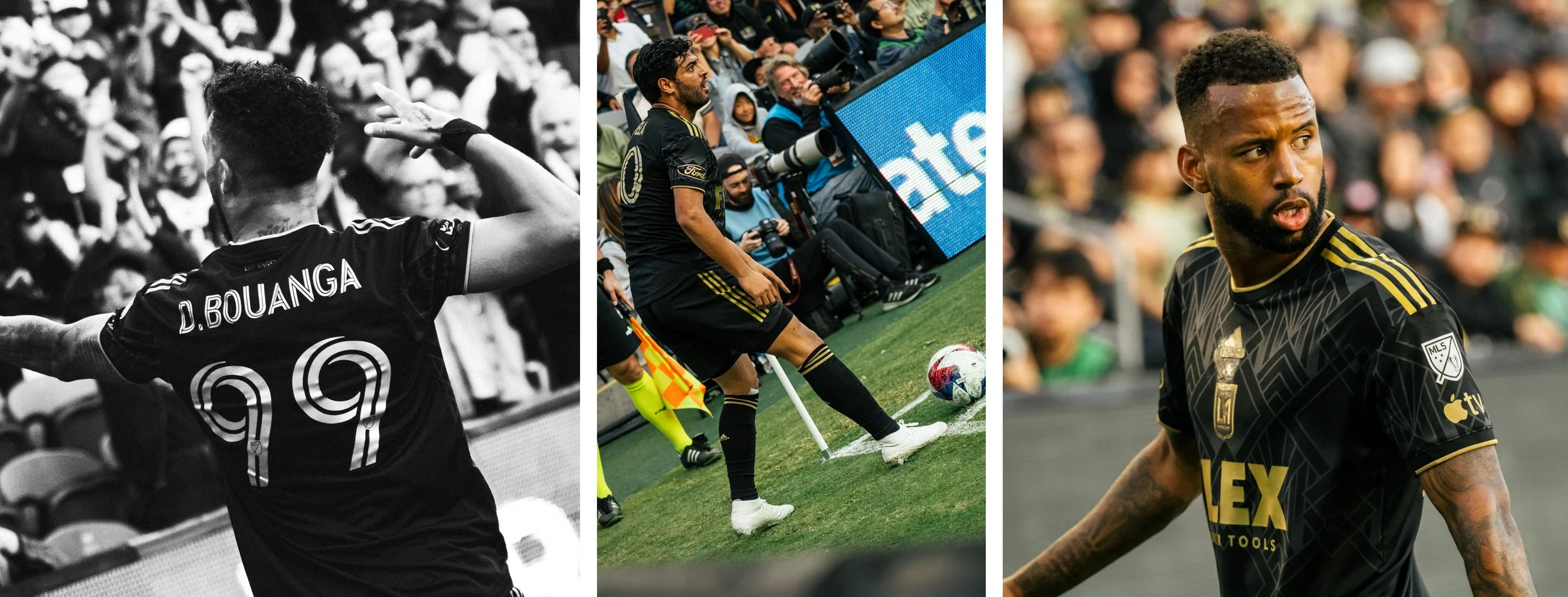 Artboard 1 copy 2.jpg