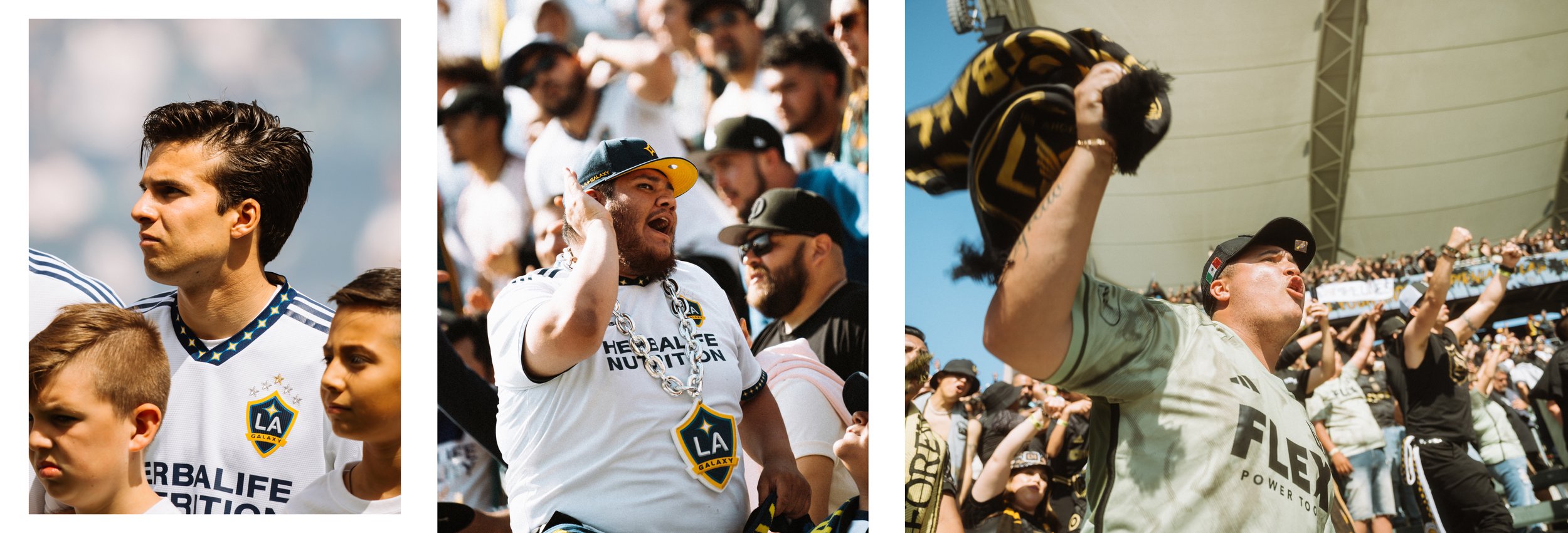 Artboard 1 copy 16.jpg