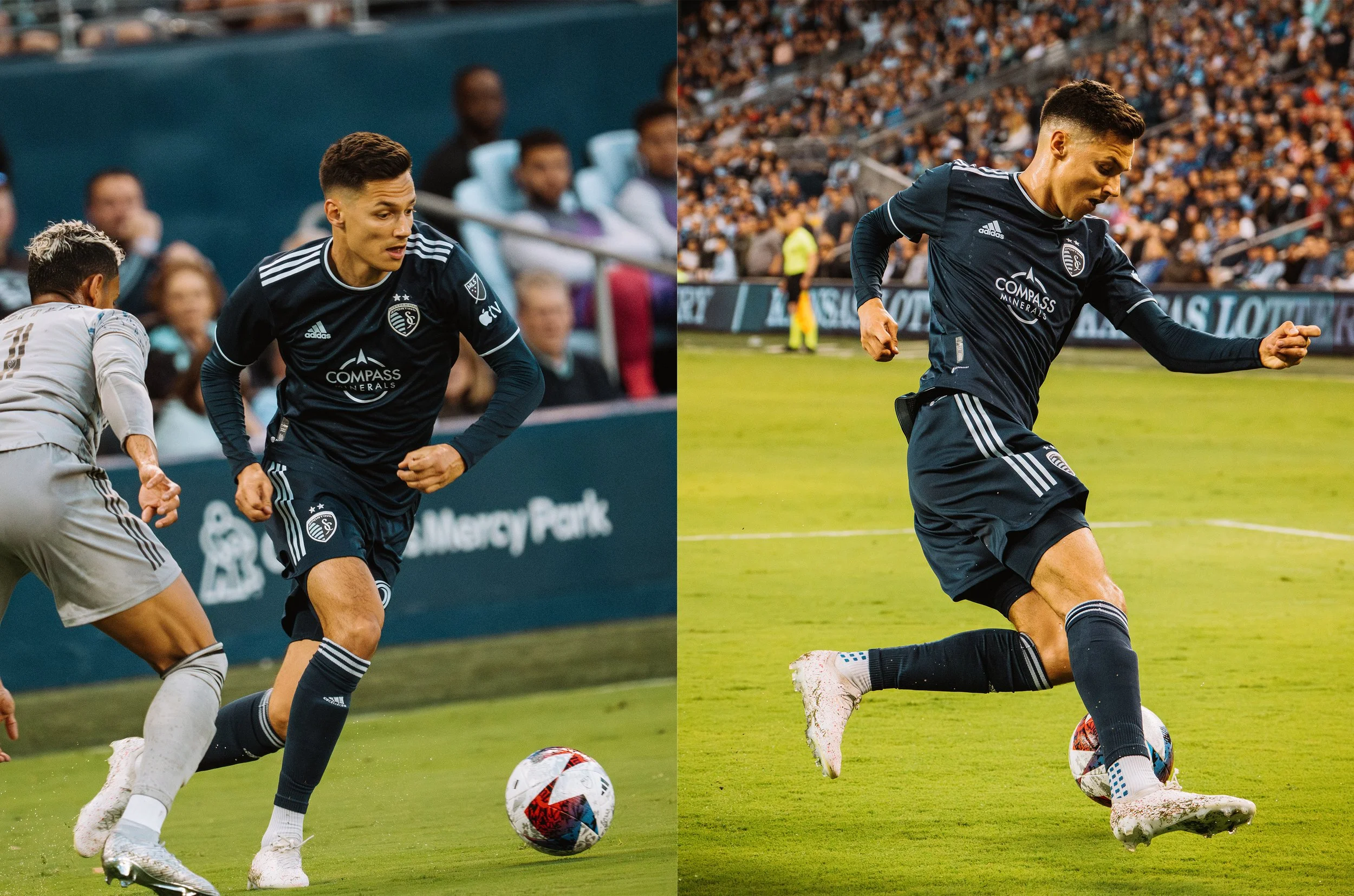 Artboard 1 copy 2.jpg