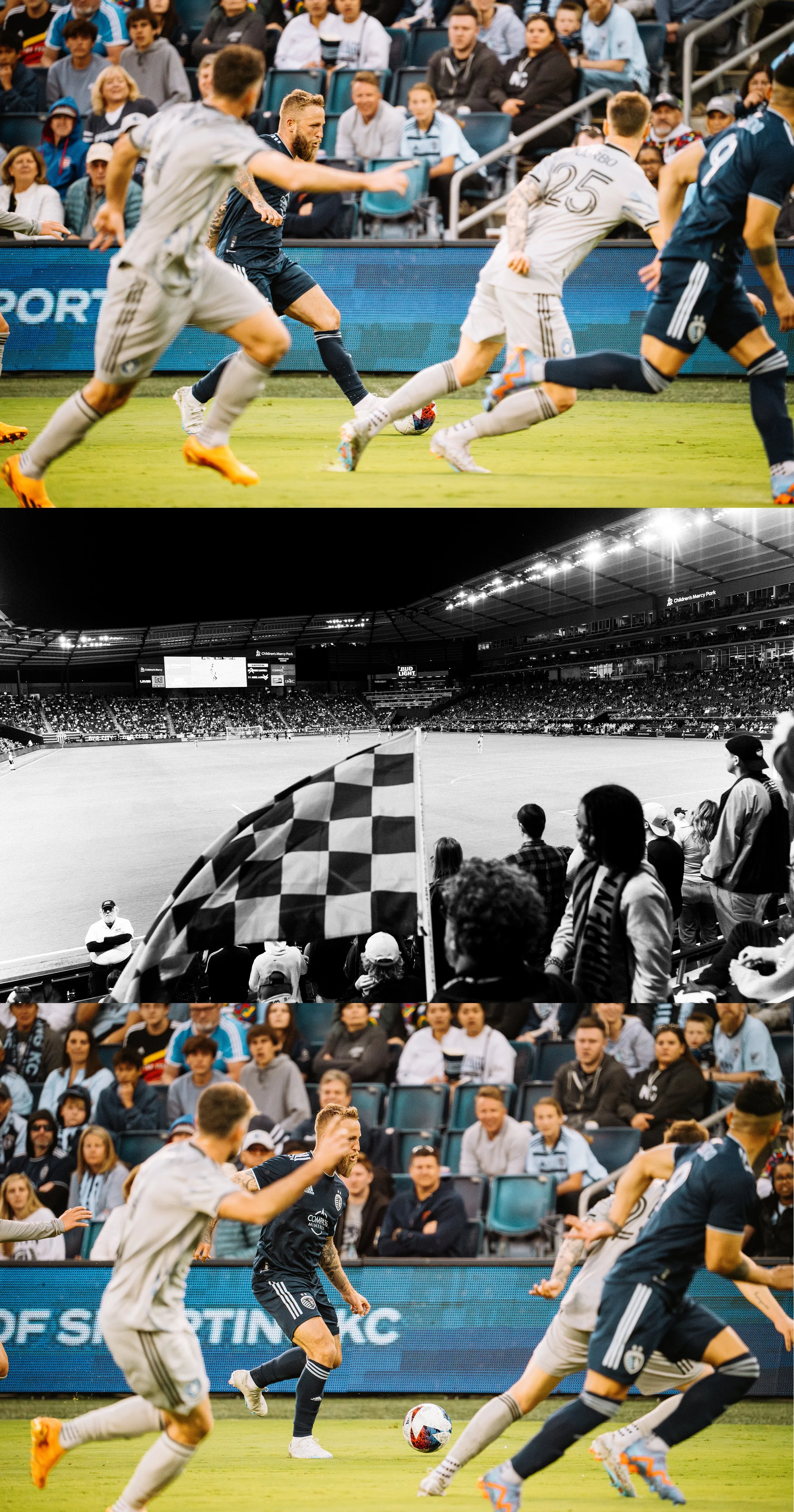 Artboard 1 copy 9.jpg