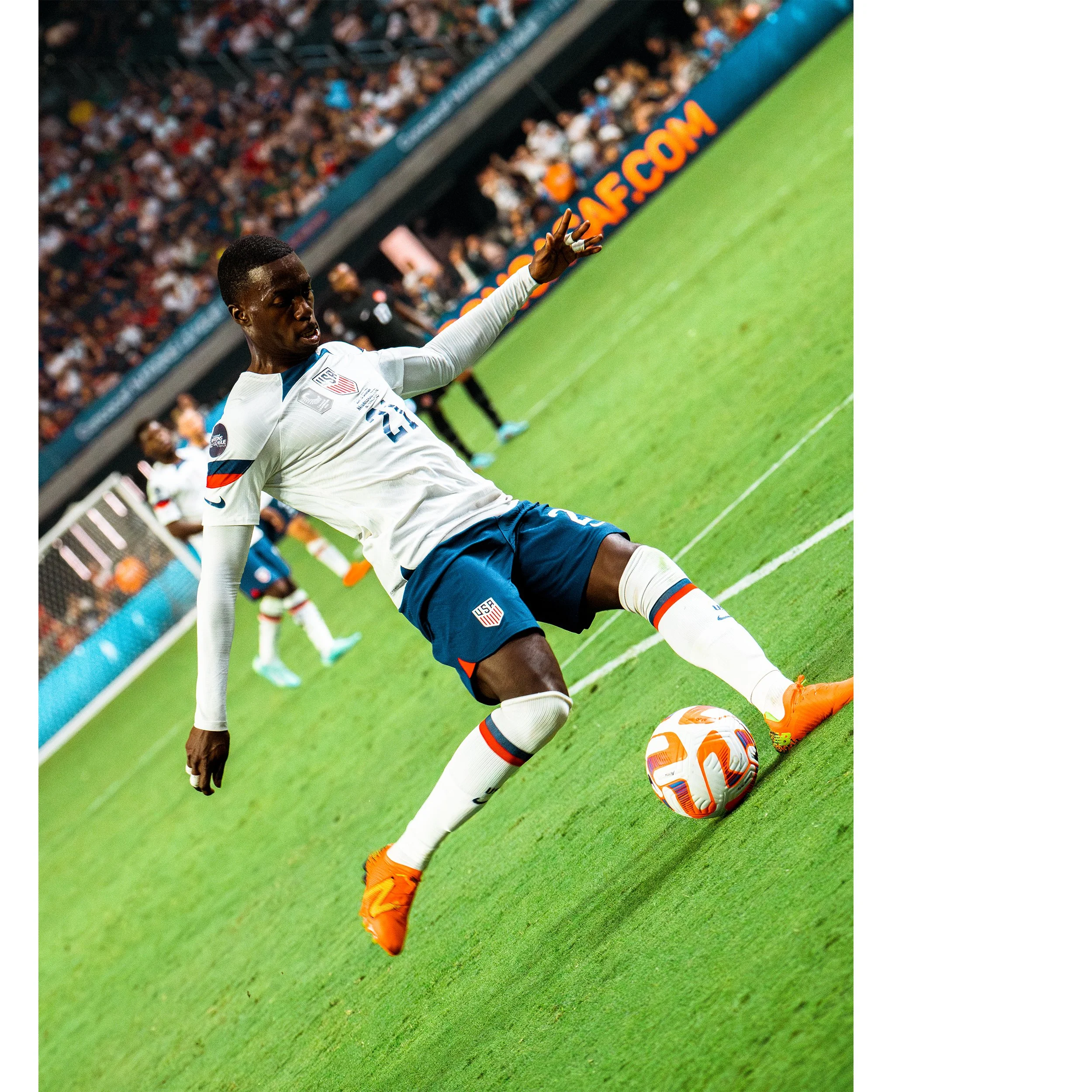 Artboard 1 copy 8.jpg